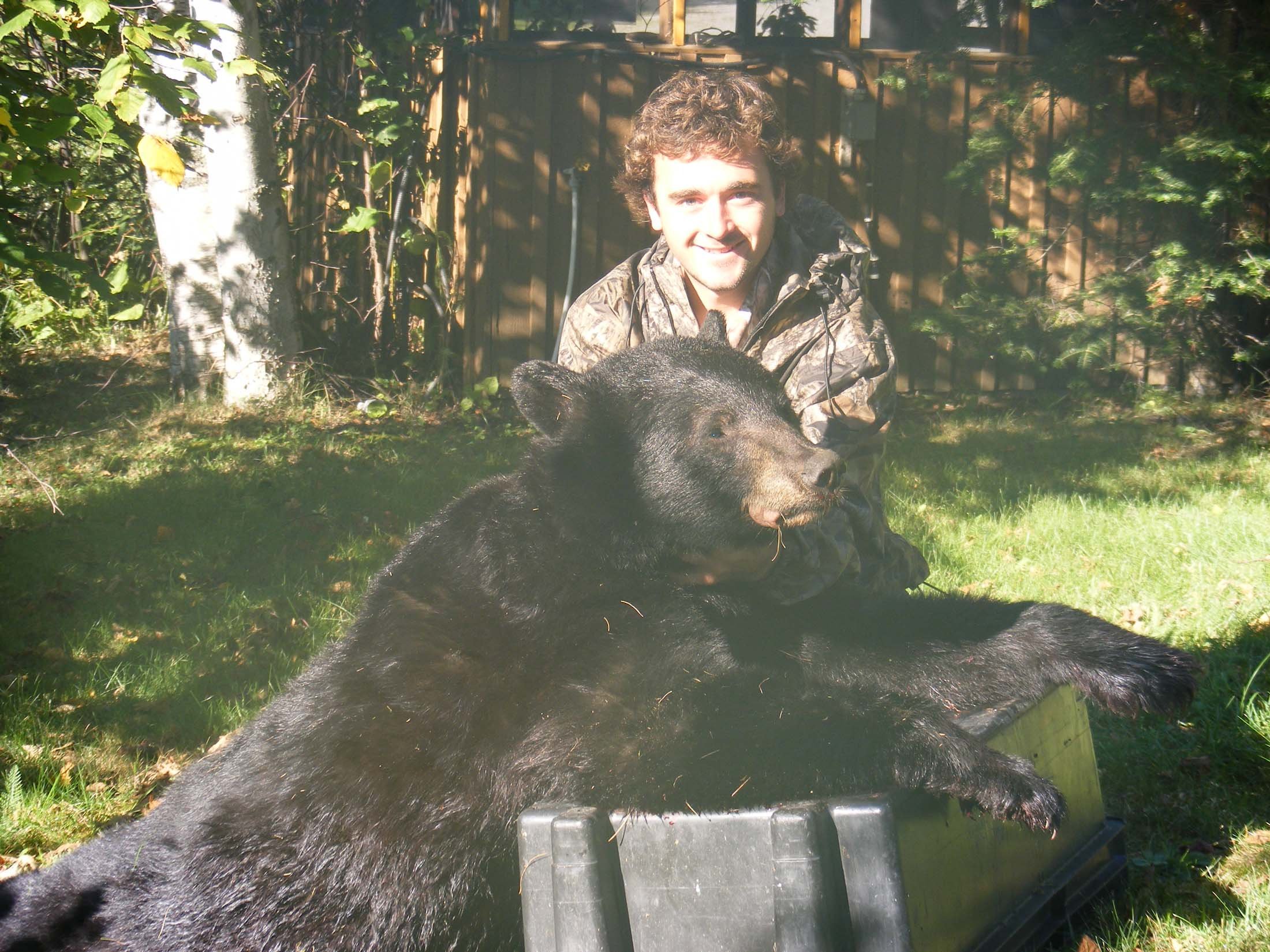 LylebearHWL.jpg