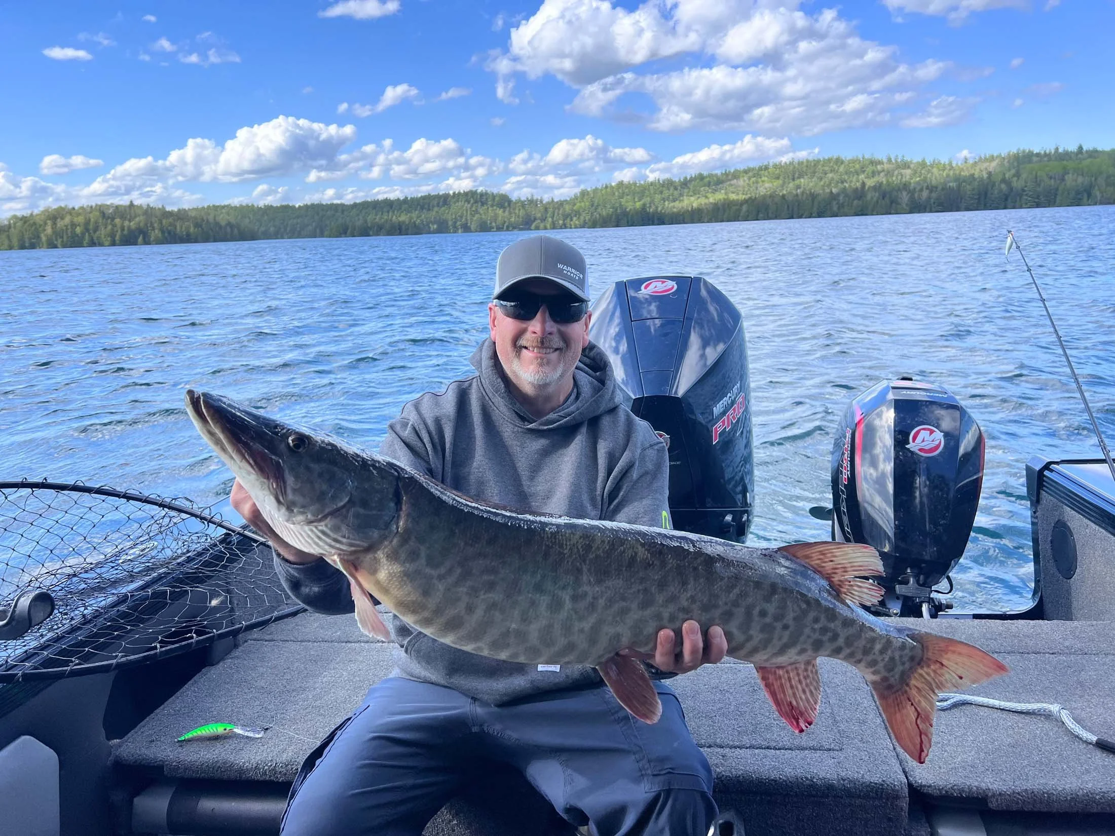 Man on a boat holding a large fish, with forests and a blue sky with clouds in the background.