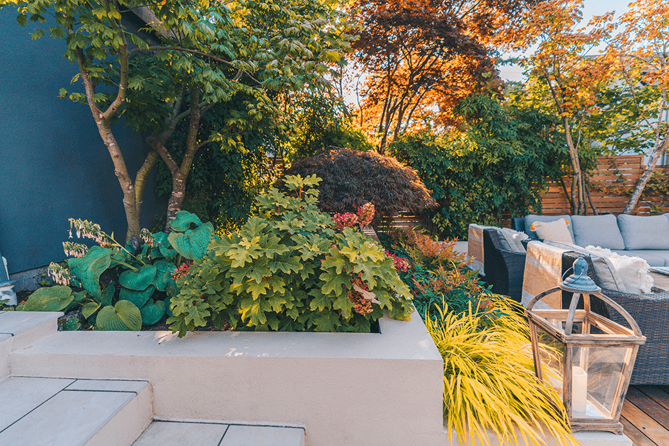 a kreative storyIODB_DSC0169-HDR.png