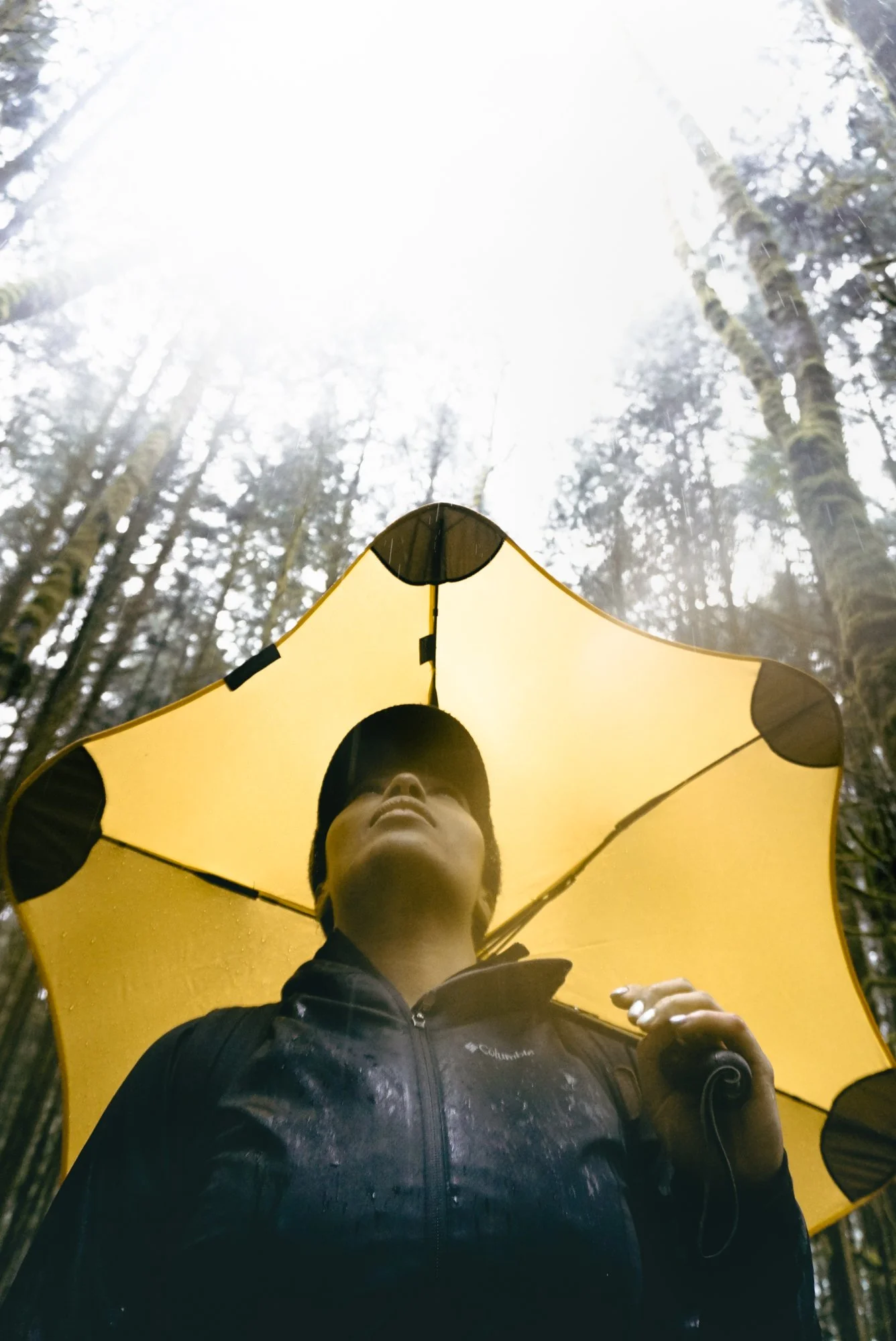Person mit schwarzer Jacke und schwarzem Hut hält einen großen gelben Regenschirm in einem Wald, Blick nach oben, bei bewölktem Himmel.
