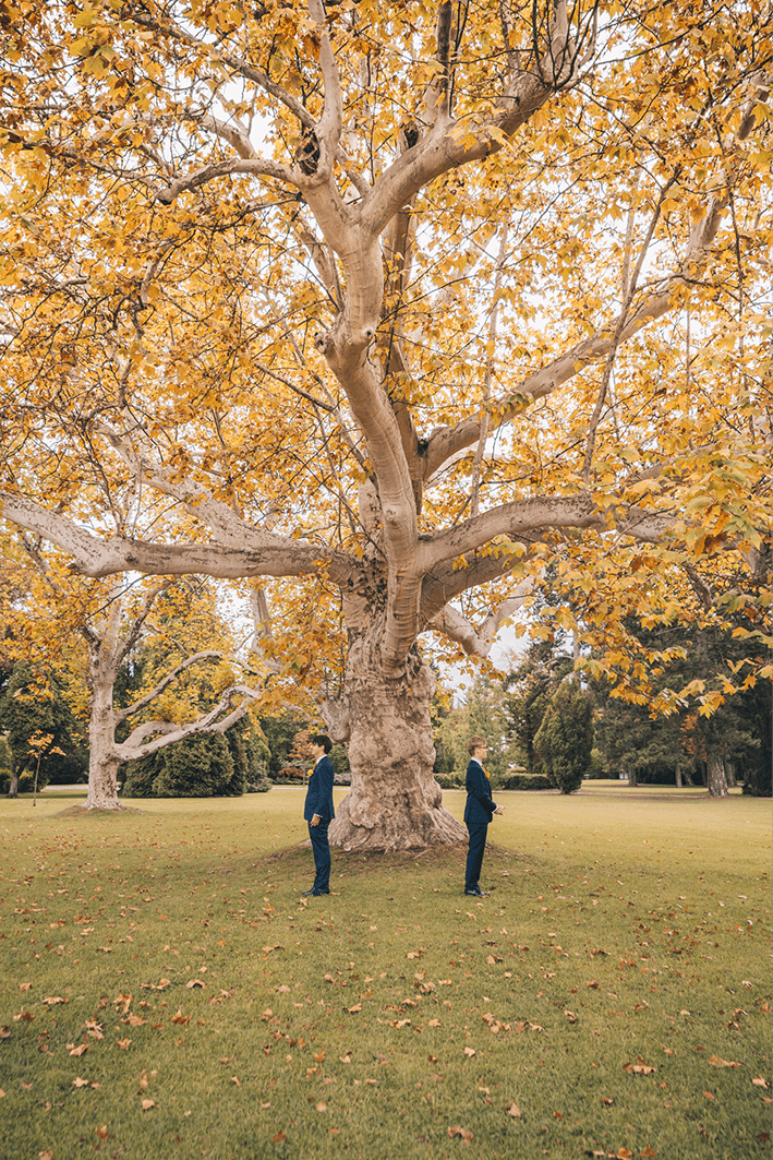 a kreative story-Hochzeitsfotografie Wedding photography Niederösterreich Wien Vienna 0047.png