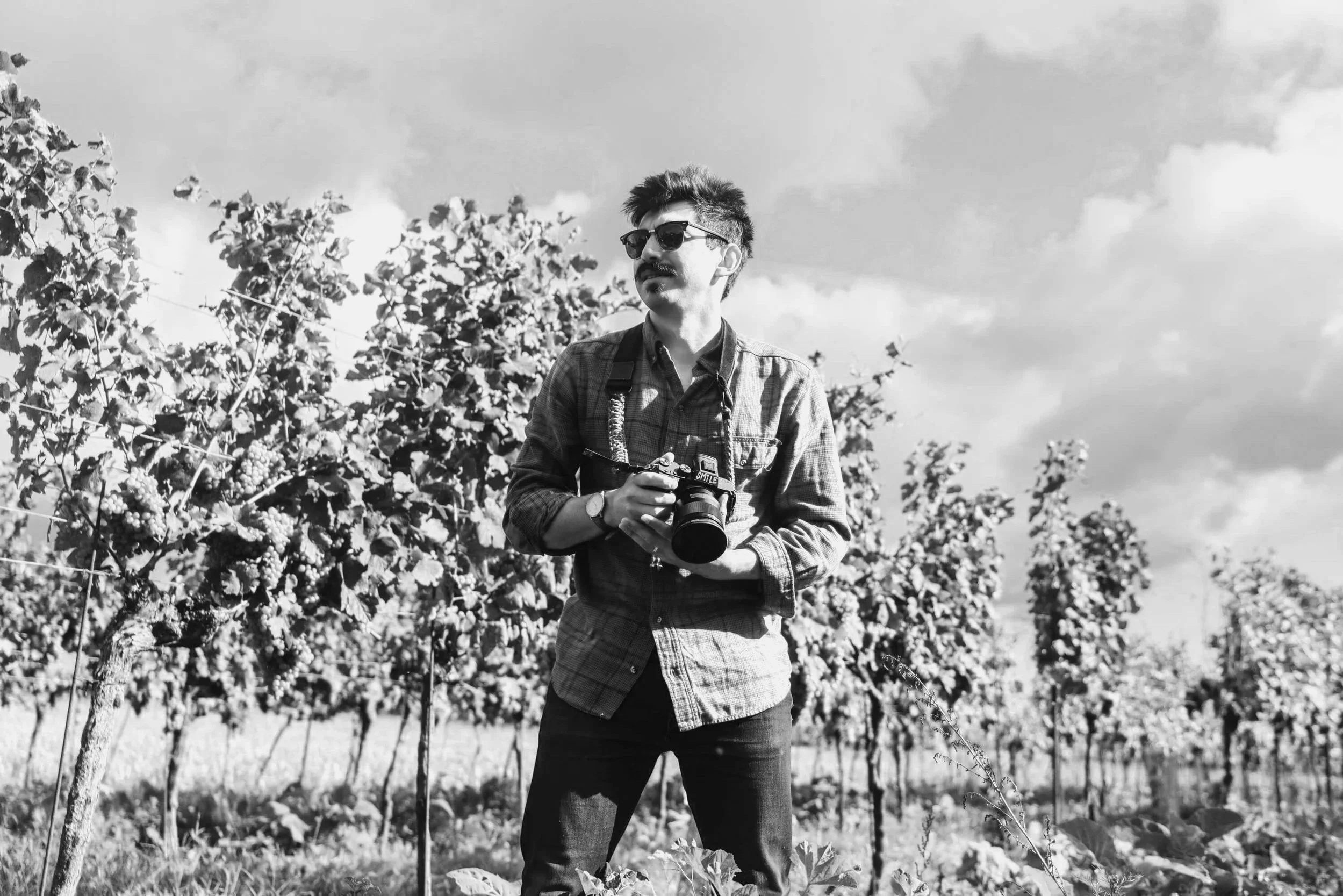 Junger Mann mit Sonnenbrille und Kamera steht in einem Weinberg, umgeben von Weinstöcken, im Freien bei bewölktem Himmel.