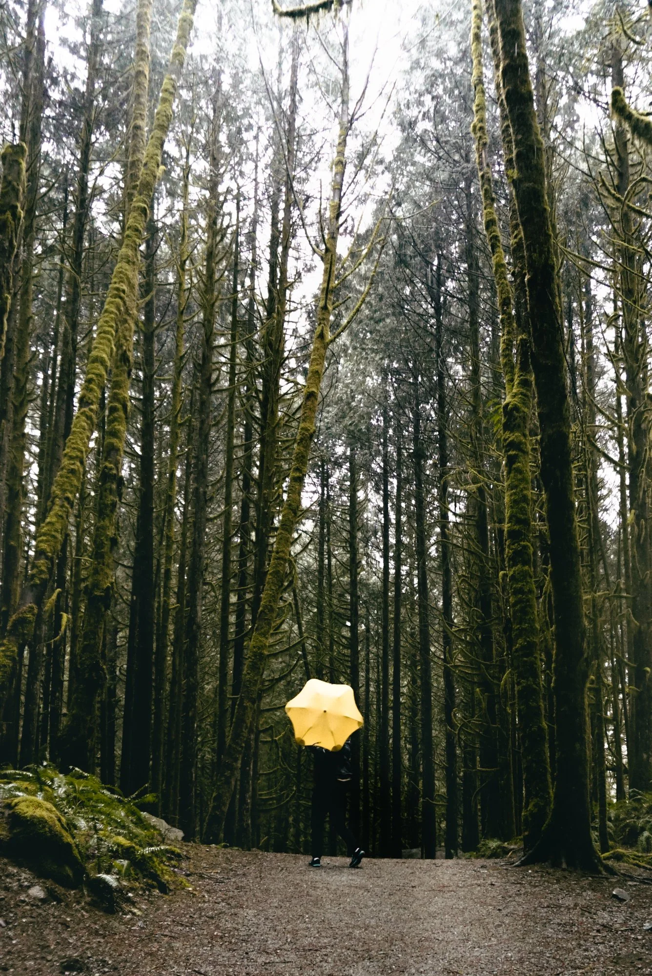 a kreative story blunt umbrellas 00360.jpg