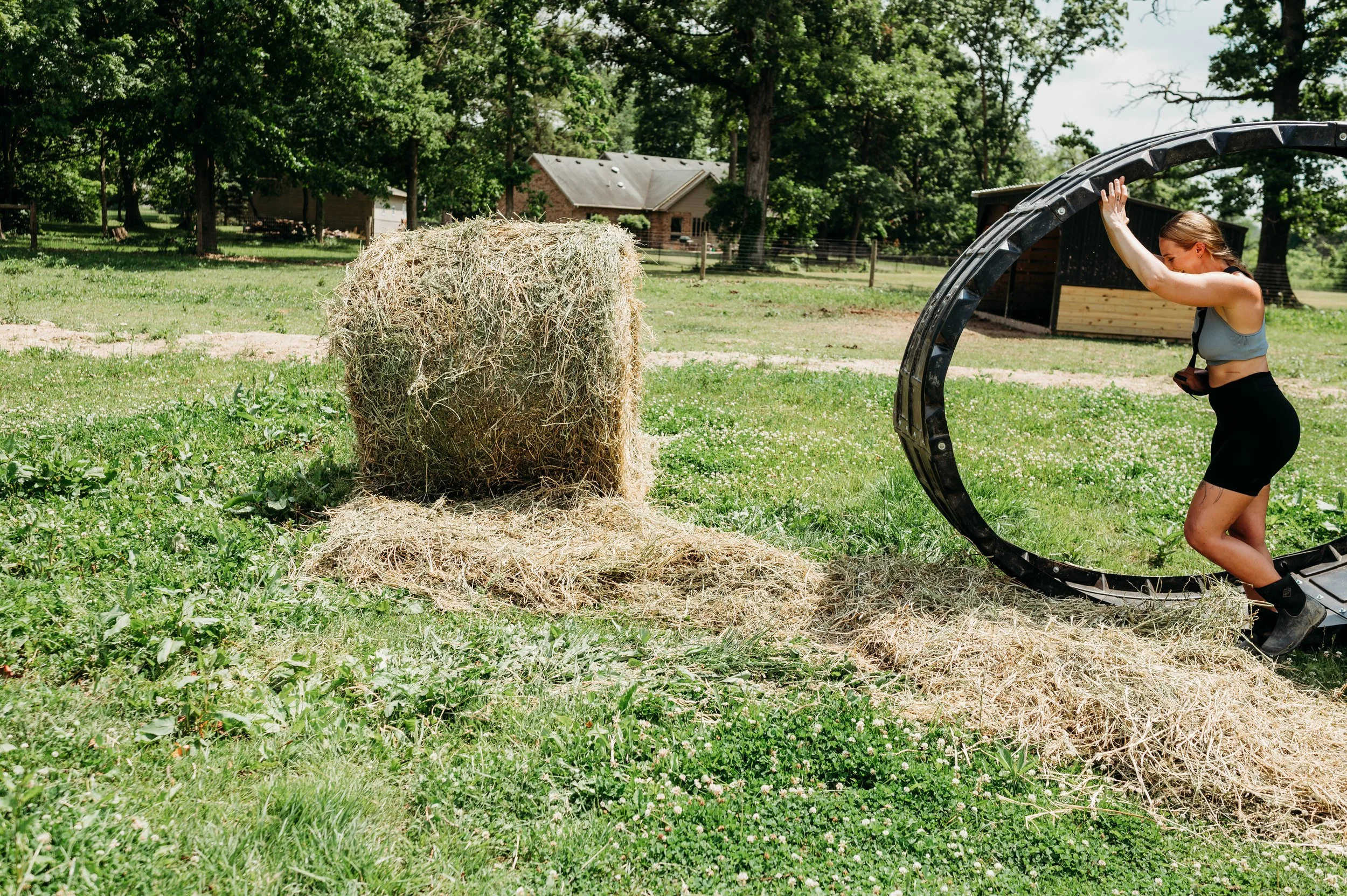 From 40% Waste to 5%: The Science of Contained Feeding for Horses