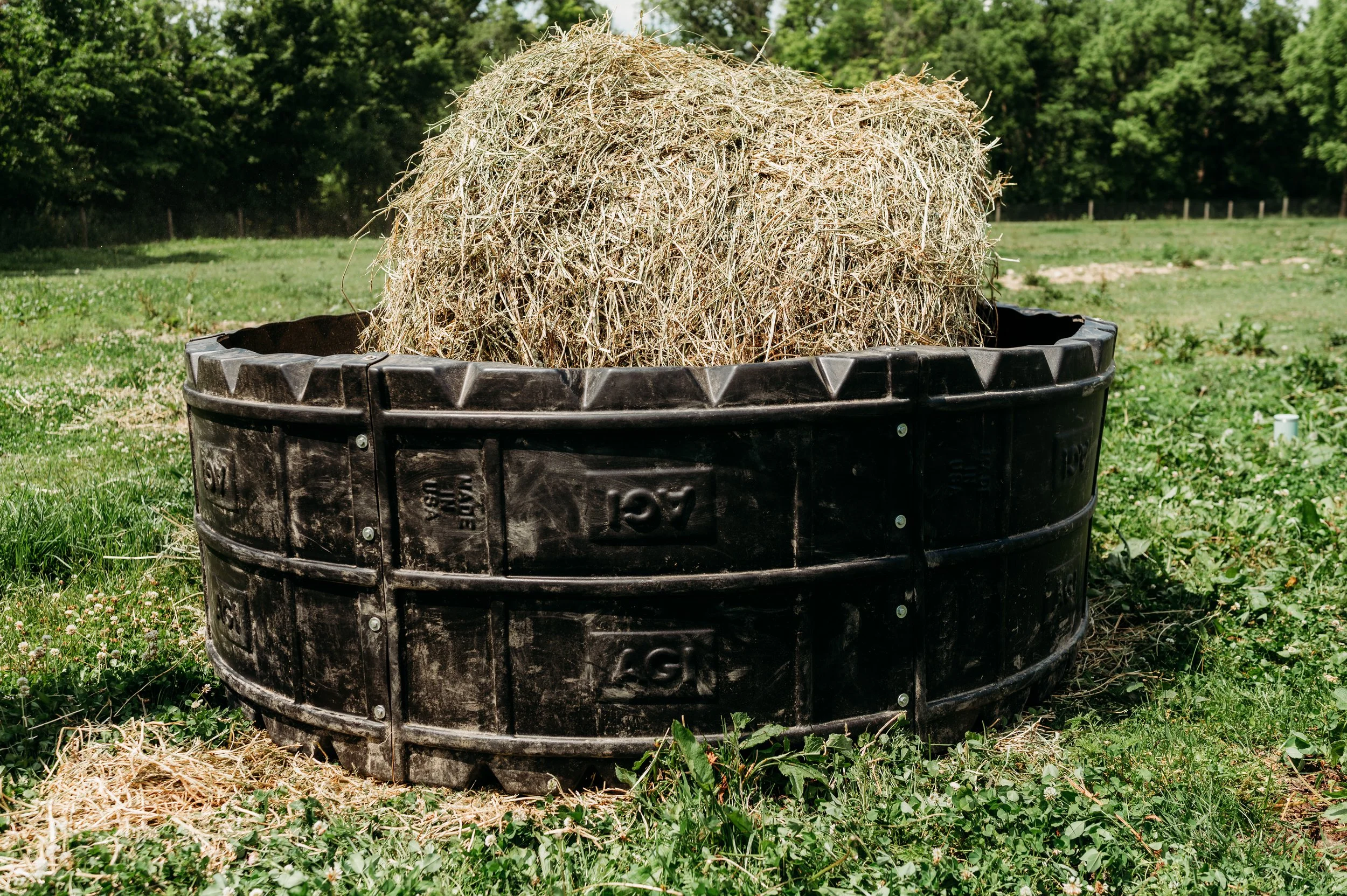 Summer Pasture Management: Transitioning from Grass to Hay Feeders