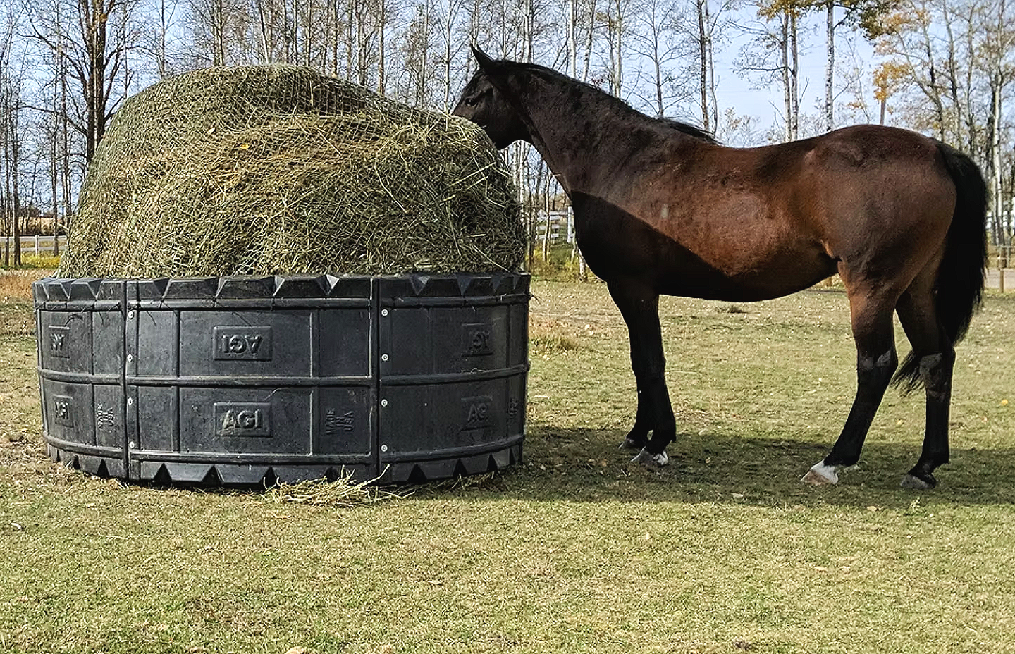 safe hay ring for horses