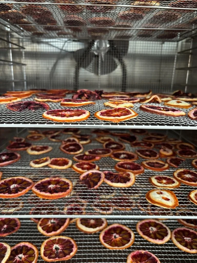 Dried Blood Orange 