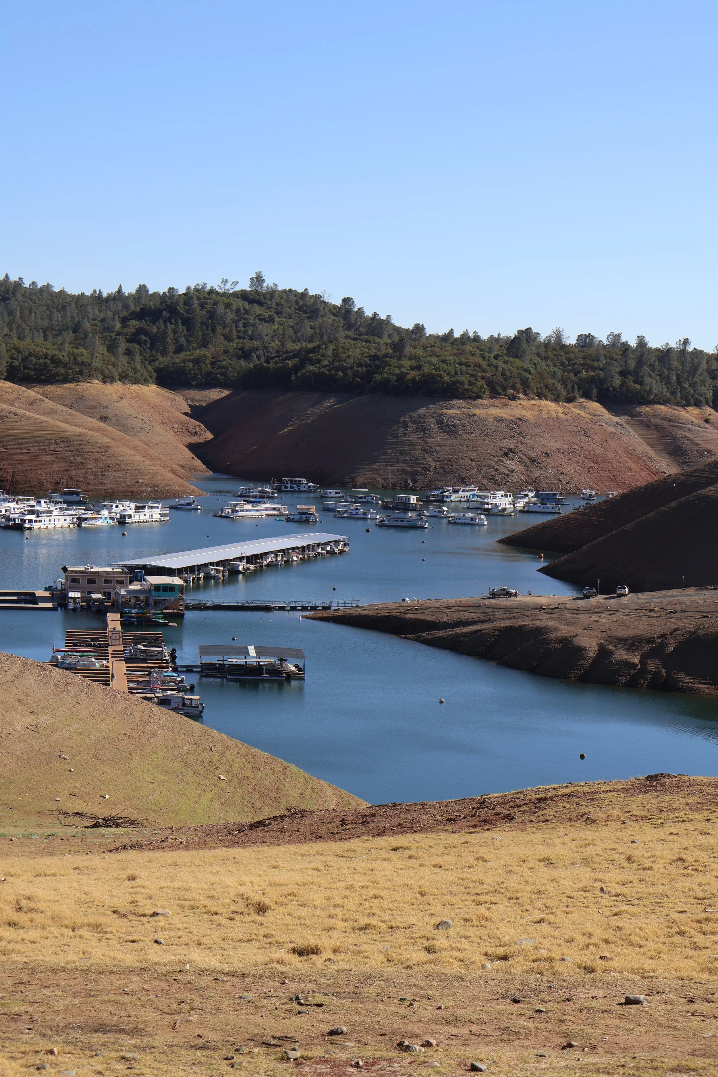 Boats docked at a marina on a lake, with hillside and forested area in the background under a clear blue sky.