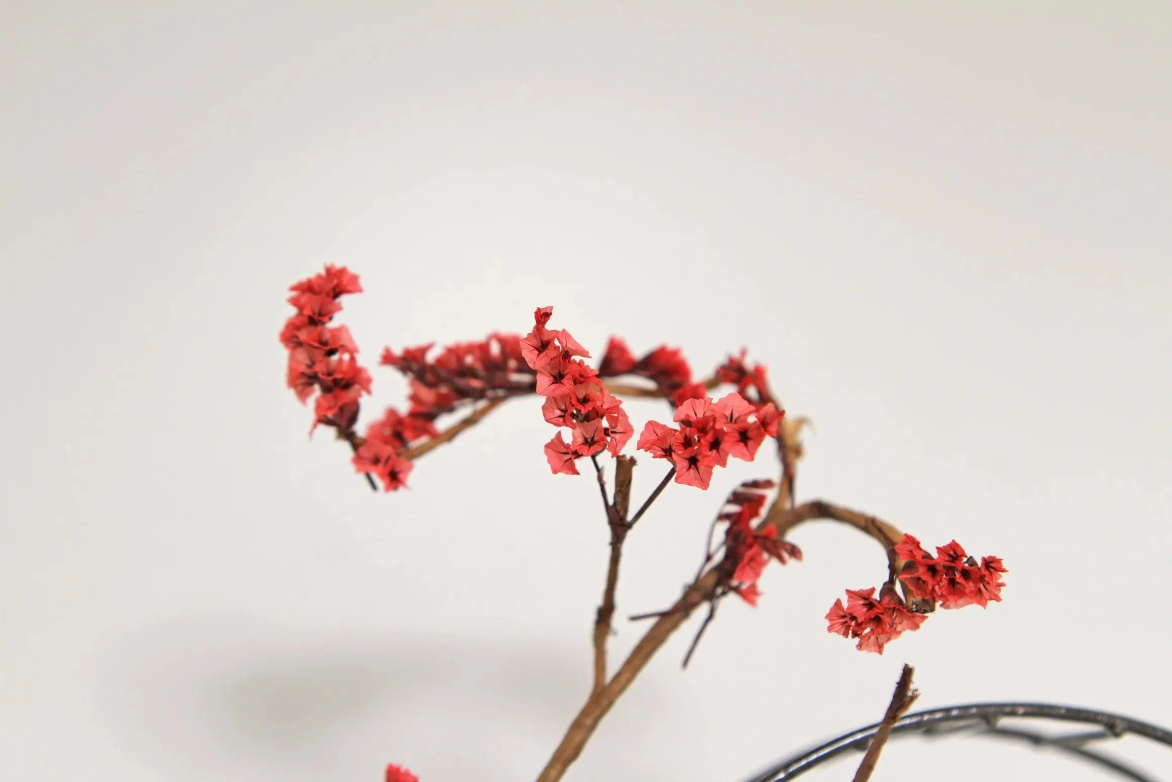 Miniature Paper Flower Workshop with Brigitte Nagle