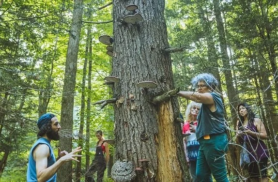 Exploring Fungi and the Ecology of Our Region
