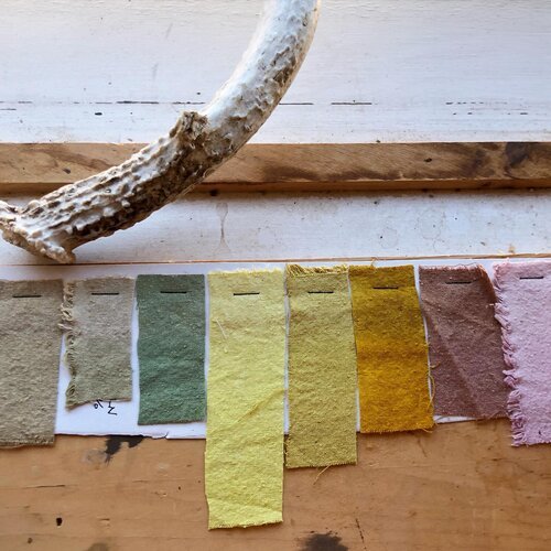 Natural Dye Workshop with Nicole Campanale