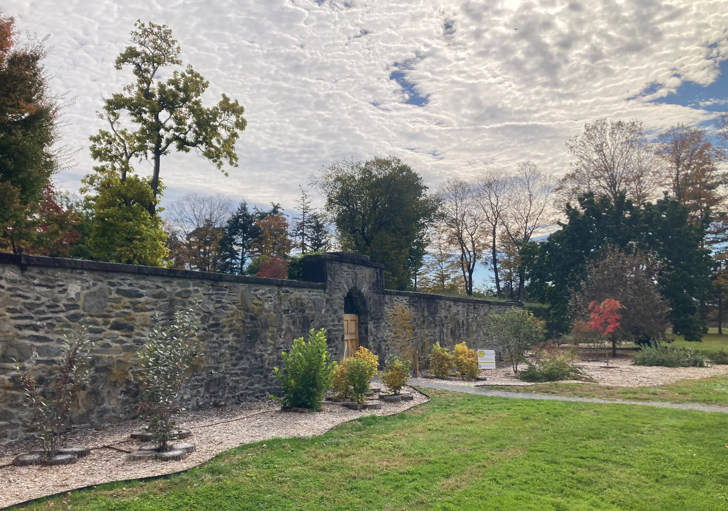 Site Assessment for Your Home Landscape