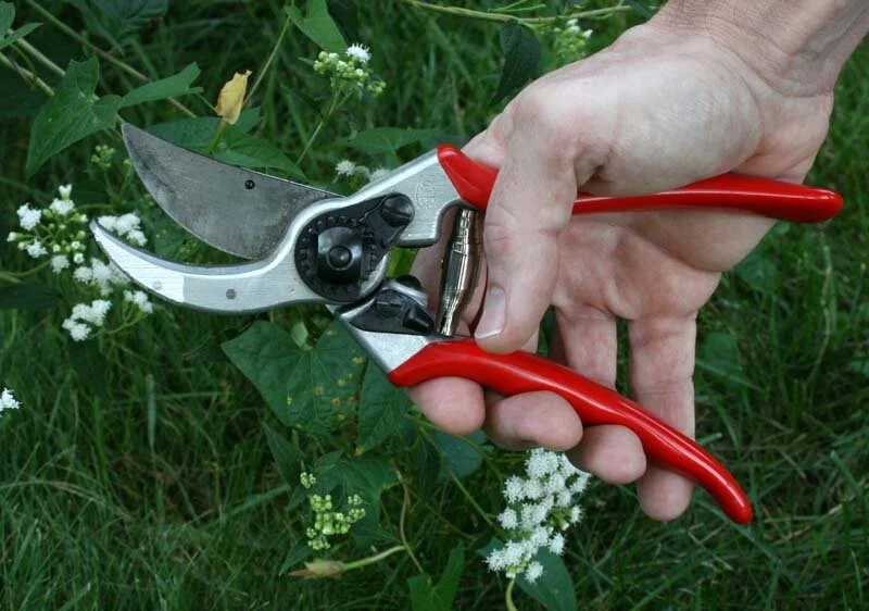 745-felco-hand-pruner.jpg