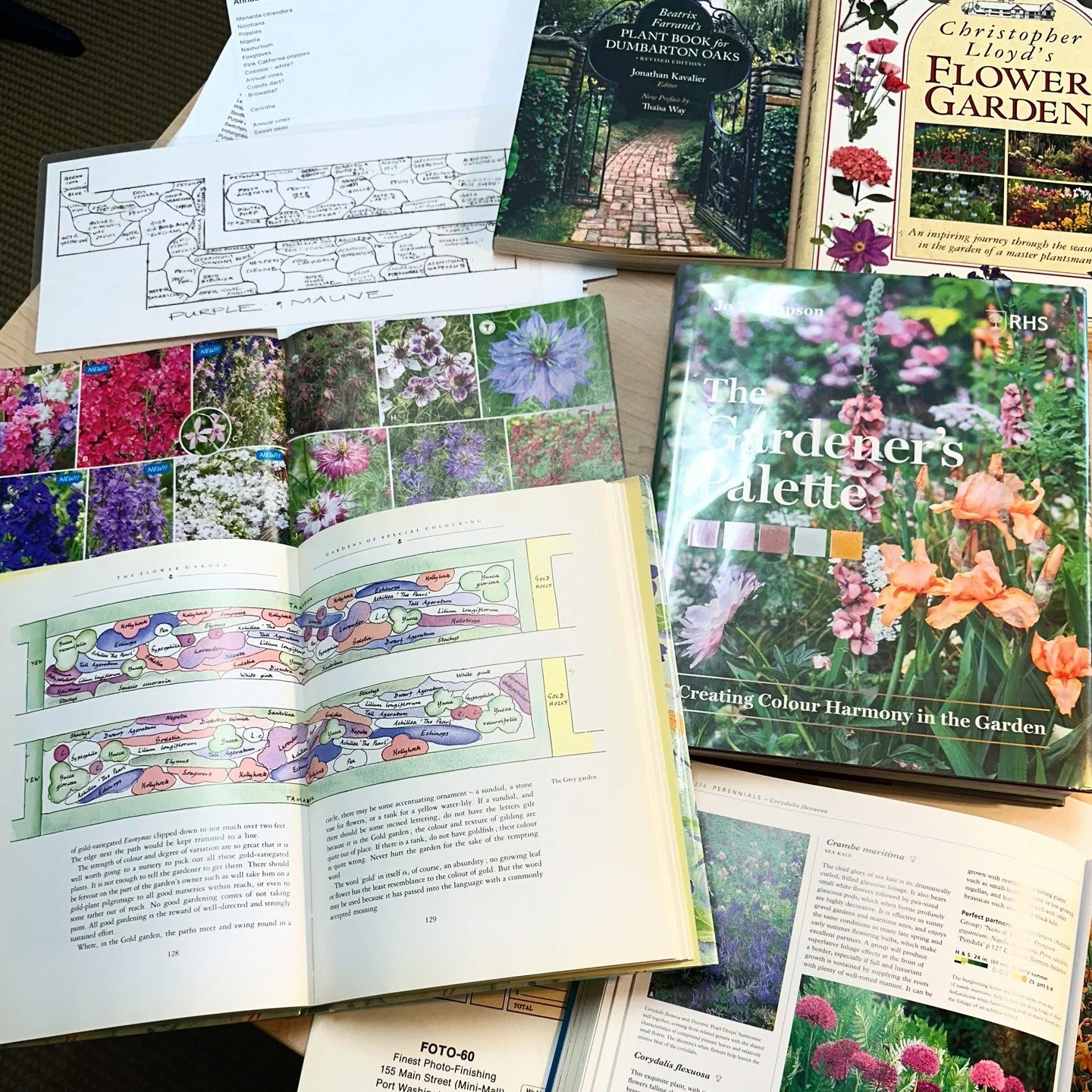 We're spending this snowy afternoon elbow deep in planting plans at the Beatrix Farrand Garden! We're assembling our seed orders for loads of annuals in Farrand's controlled and dreamy color palette of creams, pinks, whites, mauve, and purples to cre
