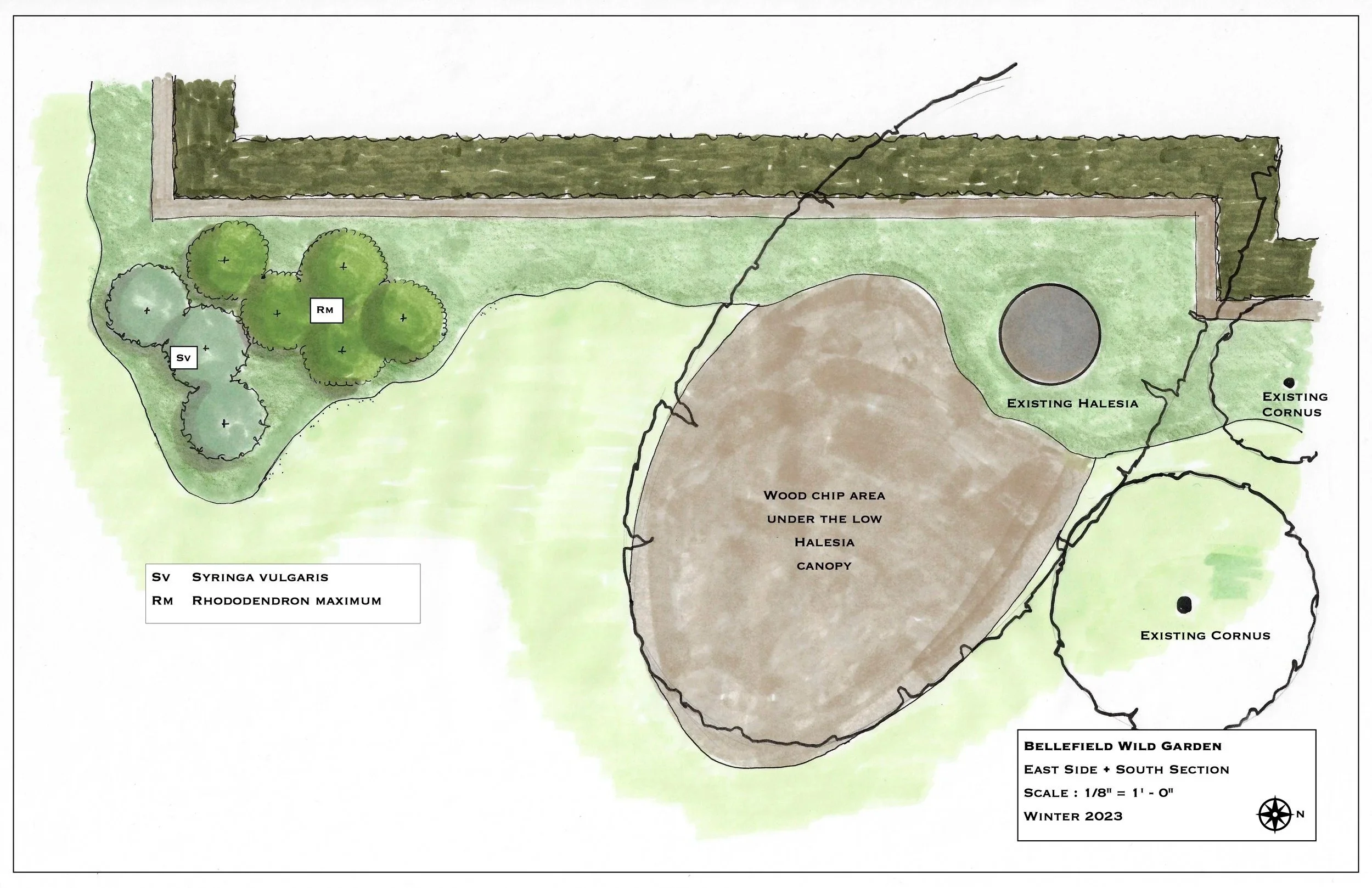 Bellefield WG East South.jpg