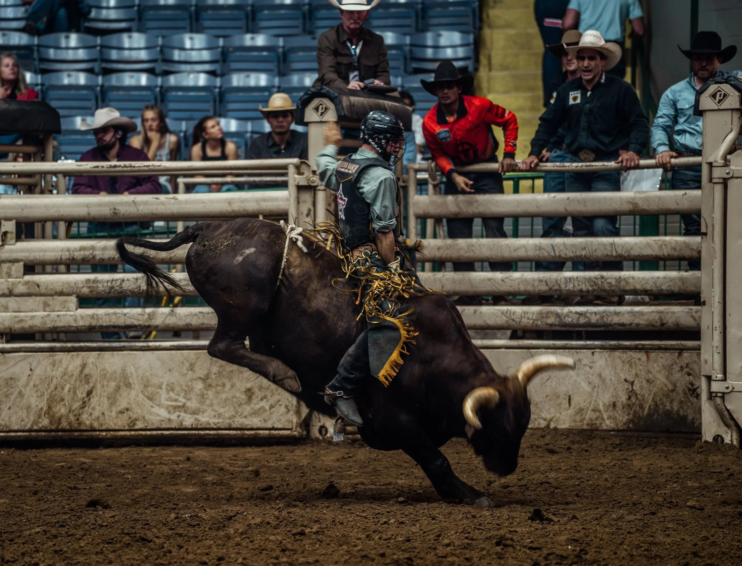 PBR bull rider begins his eight second ride at the PBR Showcases at Cowtown Coliseum on April 2nd.