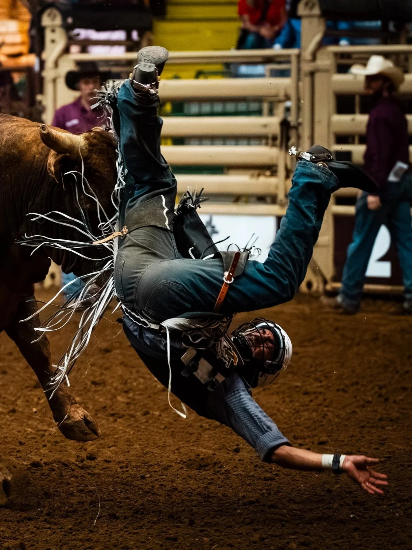 Bucked Off
-
Josh Alexander is bucked off early during round one of the PBR Showcase in Ft Worth, TX. Alexander's ride did not get him enough points to move onto the next round.