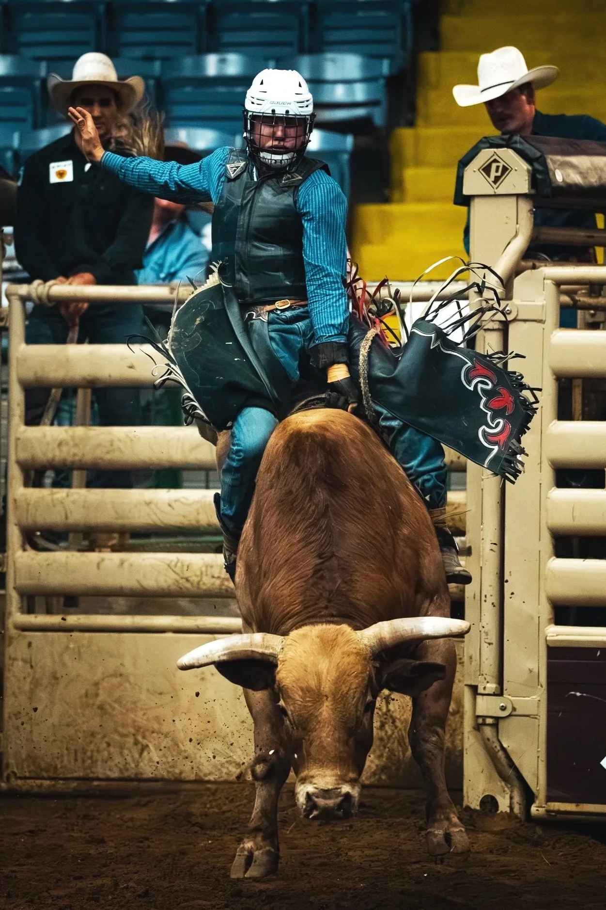 Bucked Up
-
Wyatt Rogers starts off strong on a bucking bull in the first round of the PBR Showcase in Ft Worth, TX. 30 riders competed for a top six spot to move to round two.