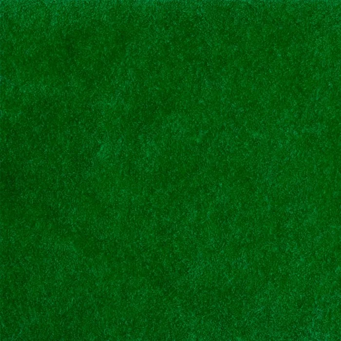 Groen flock siser.jpg