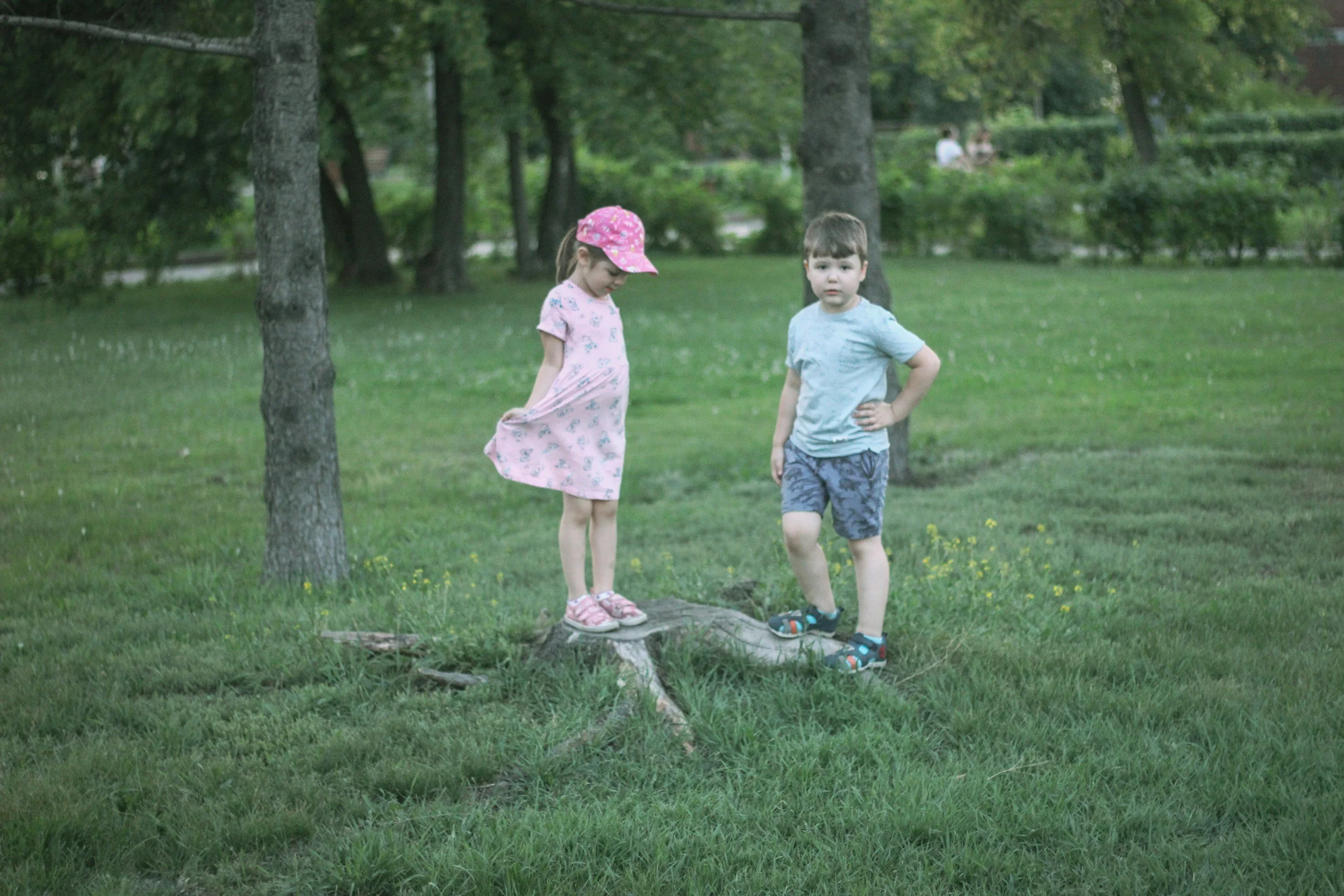 Two young children, a girl wearing a pink hat and a dress with a pattern and a boy in a light blue t-shirt and shorts, standing on a fallen tree trunk in a park with green grass and trees in the background