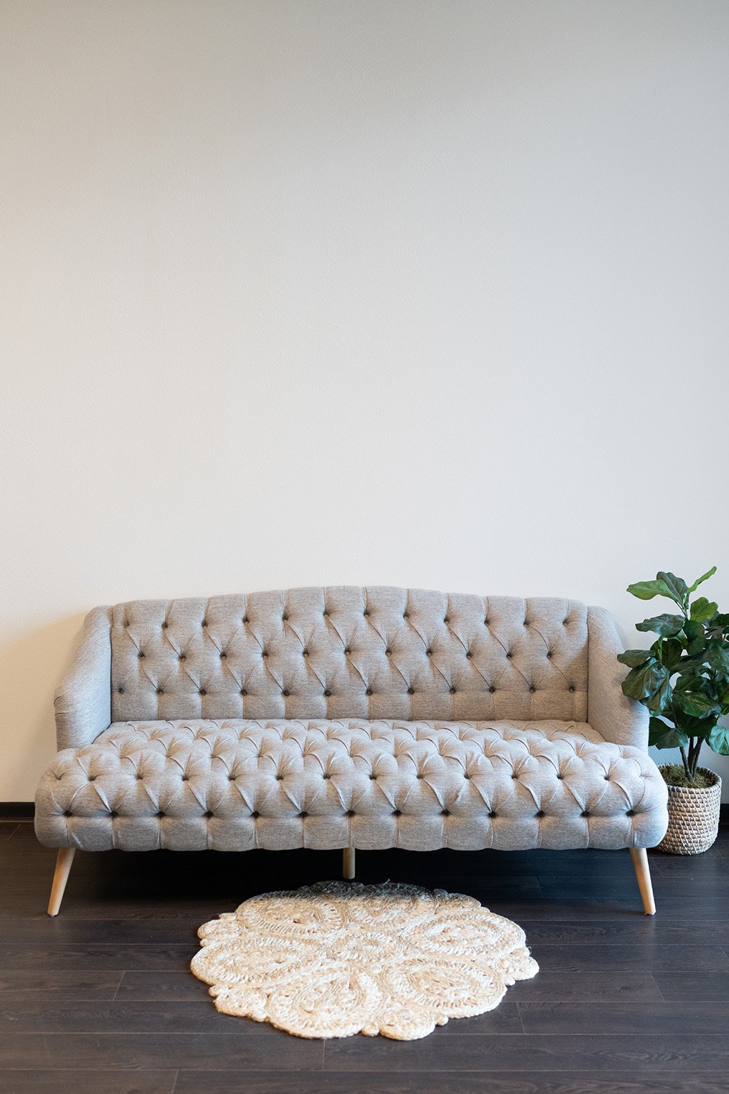 elegant couch
