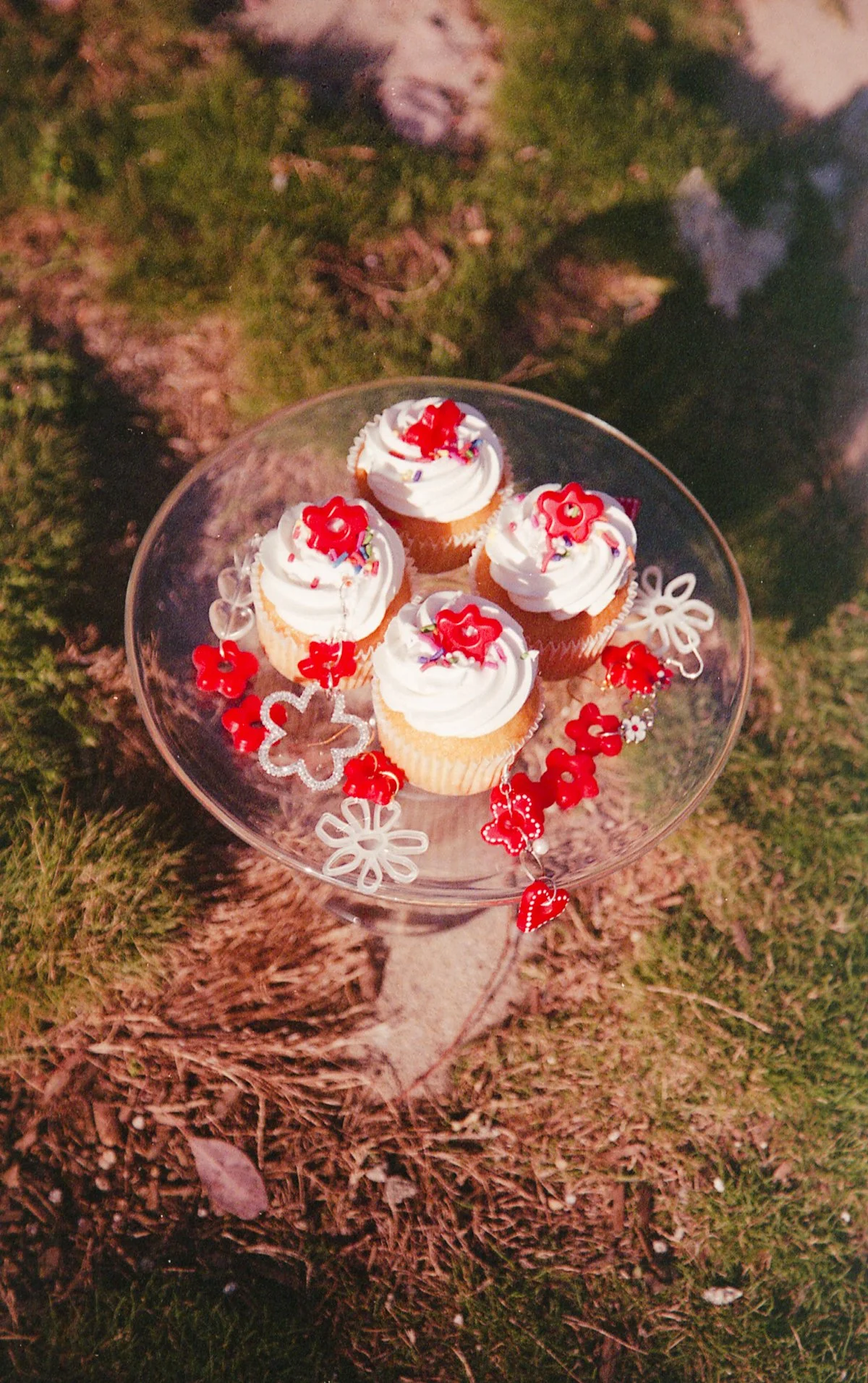 joeyshares-033 copy.jpg