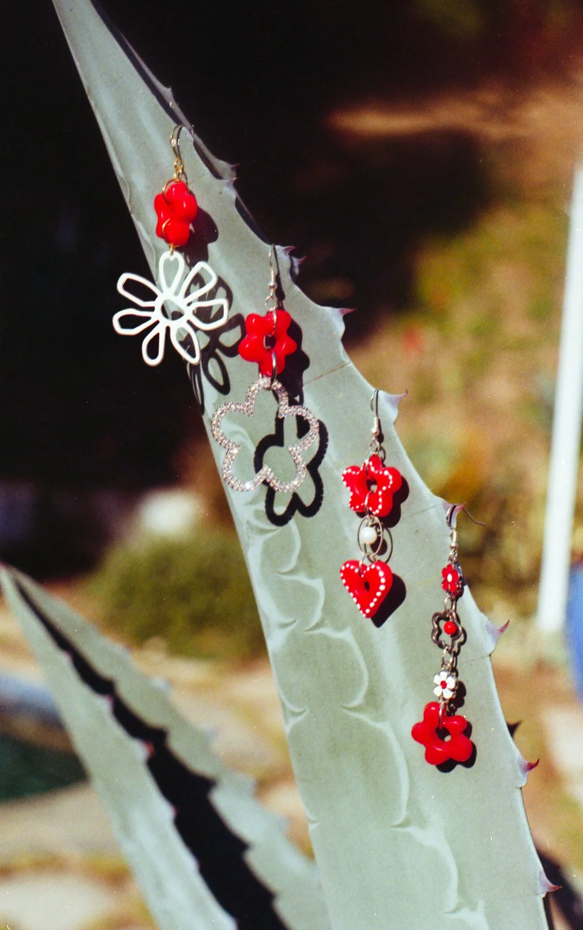 joeyshares-045 copy.jpg