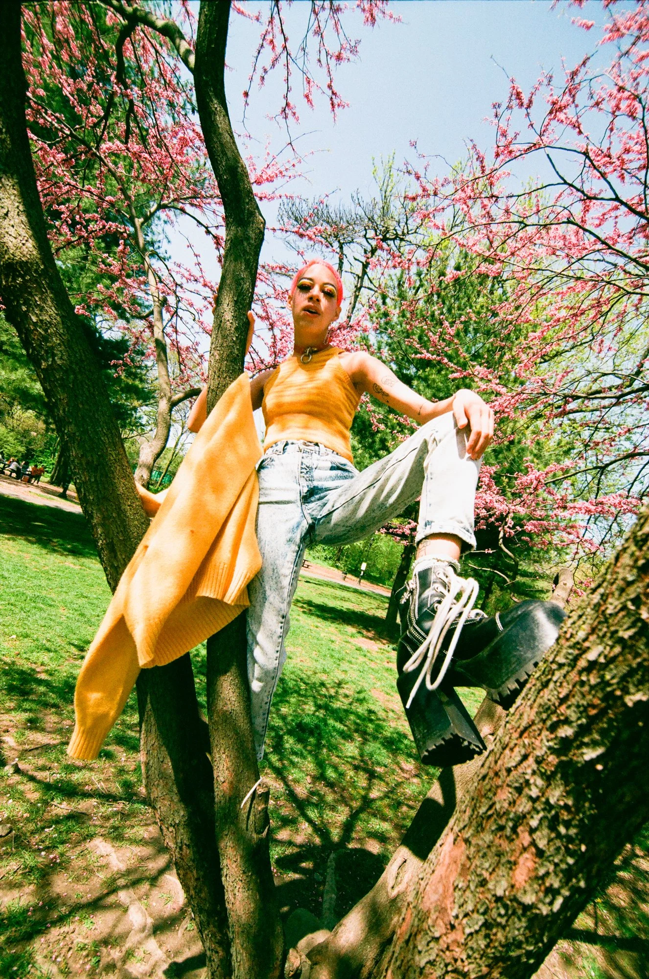 cherry-000098760001 copy.jpg