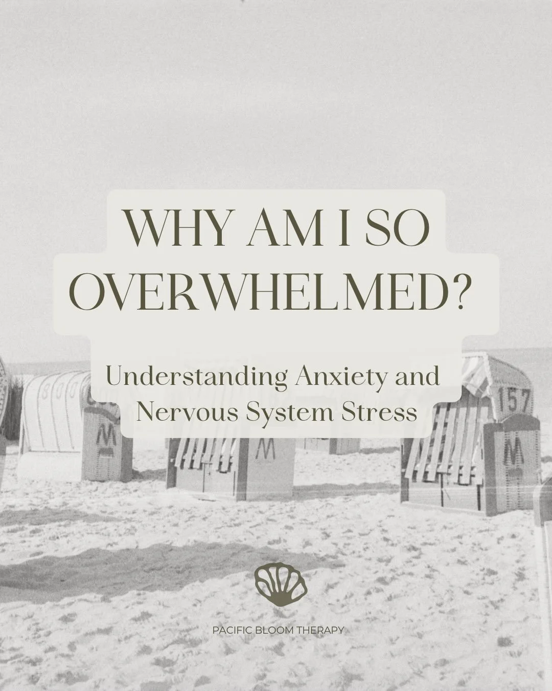 Have you ever wondered why your body feels &ldquo;on edge&rdquo; even when nothing seems immediately wrong?

An overwhelmed nervous system can make everyday stress feel bigger than it is. You might notice racing thoughts, muscle tension, trouble slee