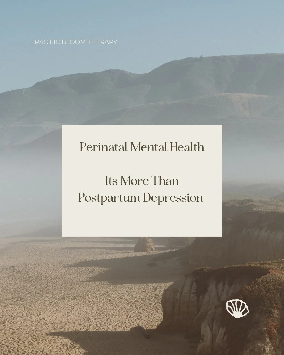 When we talk about perinatal mental health, the conversation often starts and ends with postpartum depression. But the reality is, it&rsquo;s so much more than that.

🌀

Pregnancy and the postpartum period can bring a wide range of emotions. For som
