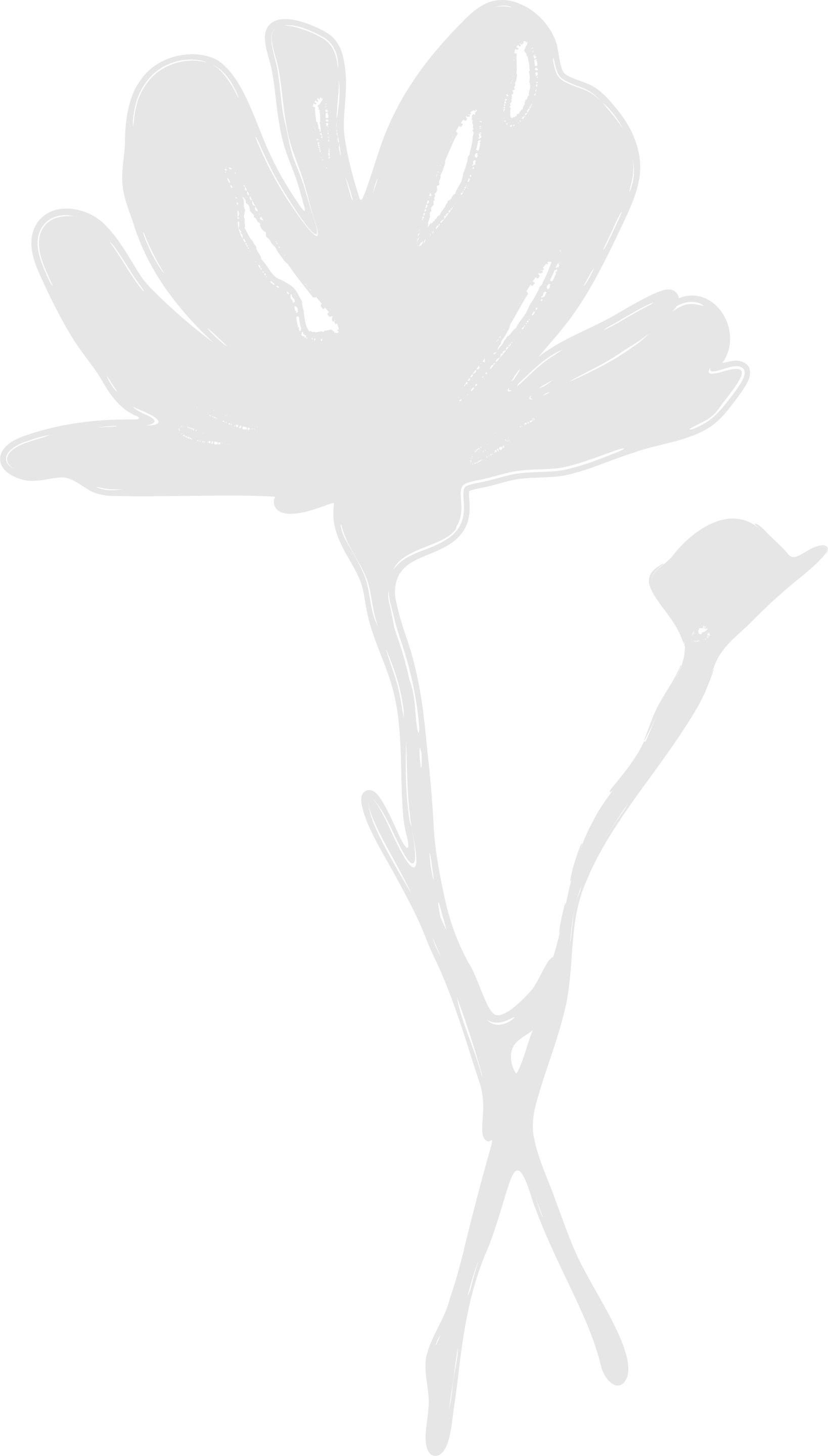 A sketch of two flowers with organic shapes