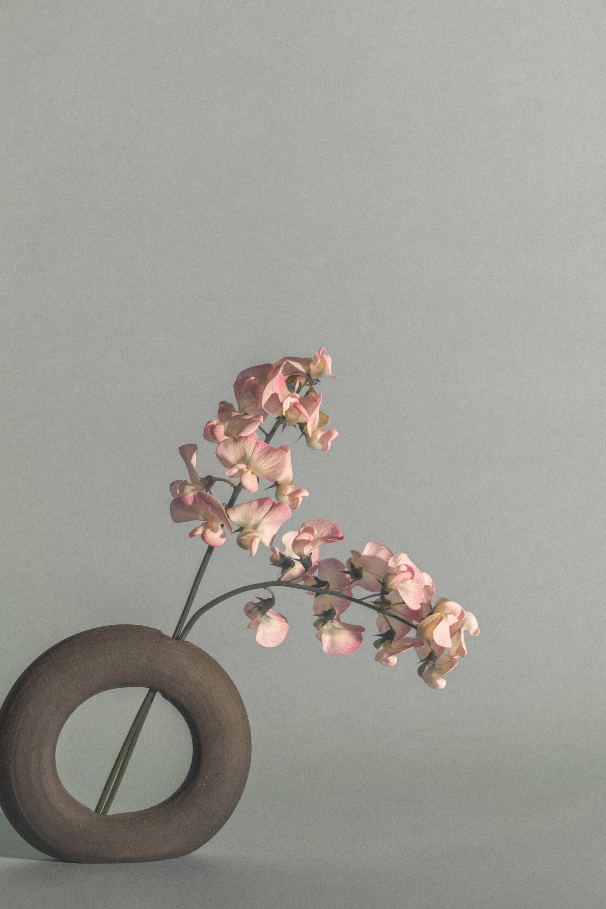 A pink and cream orchid flower in a circular, brown ceramic vase against a plain gray background.