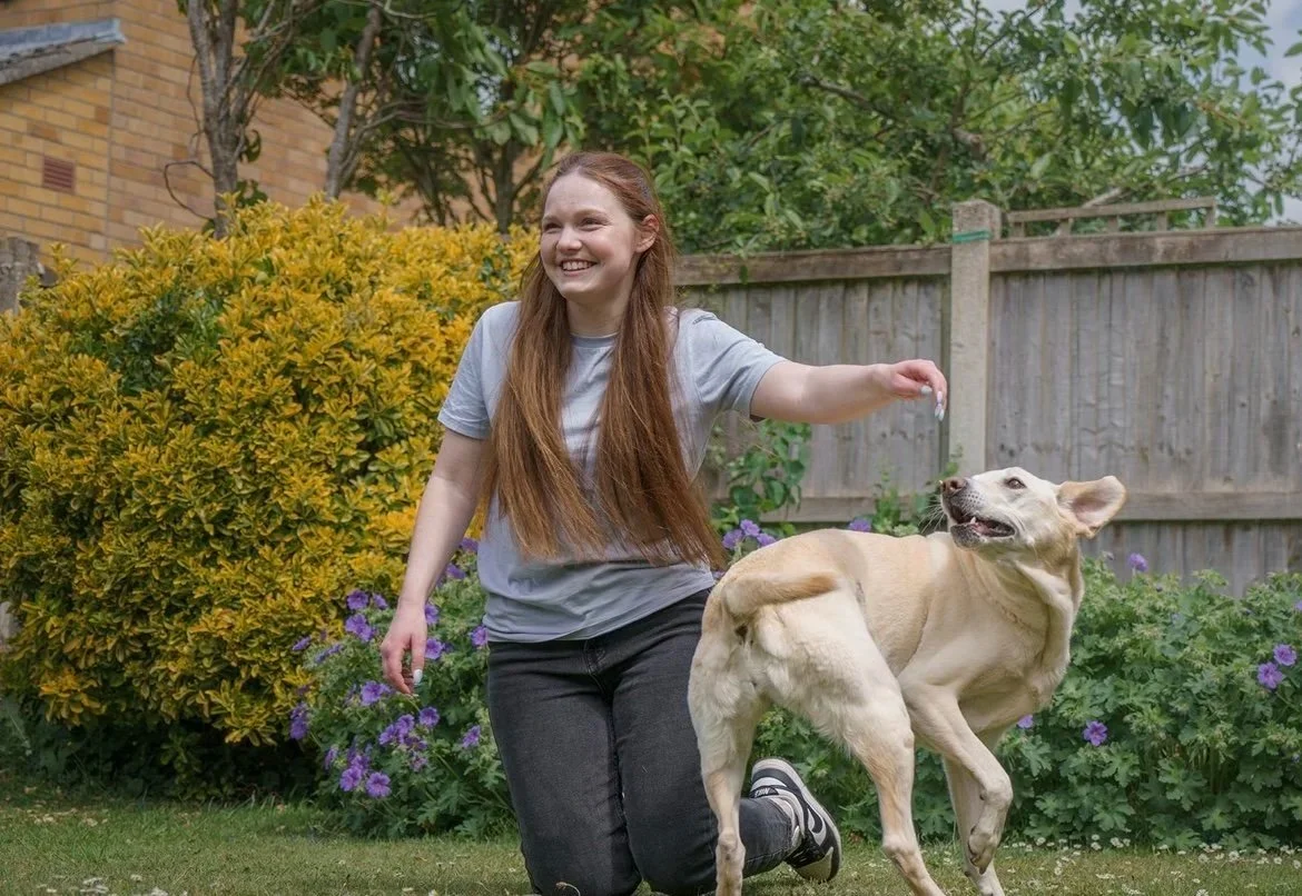 A female with brown hair playing with golden labrador dog