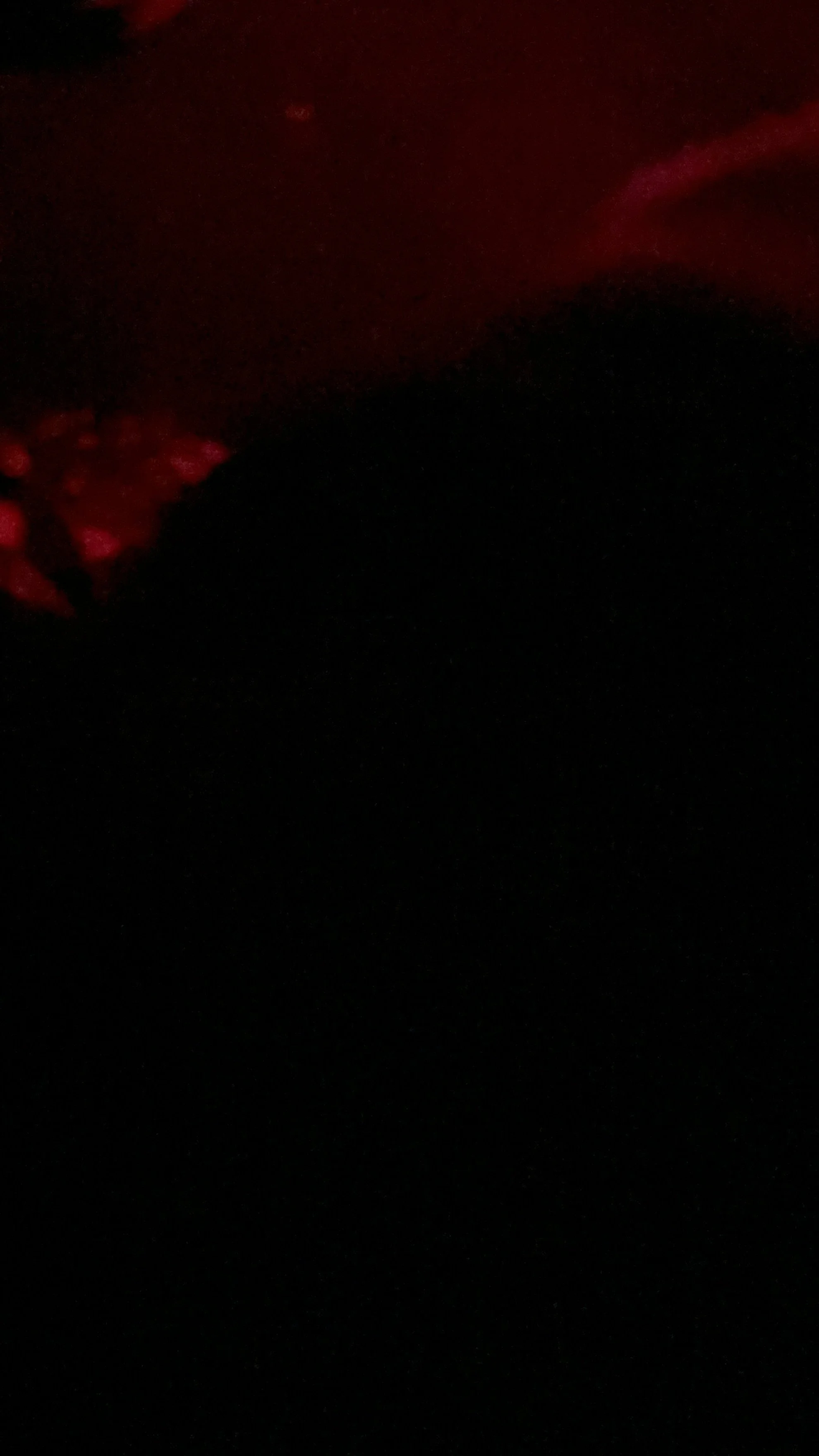 An extremely dark image with faint red and pink lights in the top left corner, and a dark silhouette of a forest or mountain in the foreground.