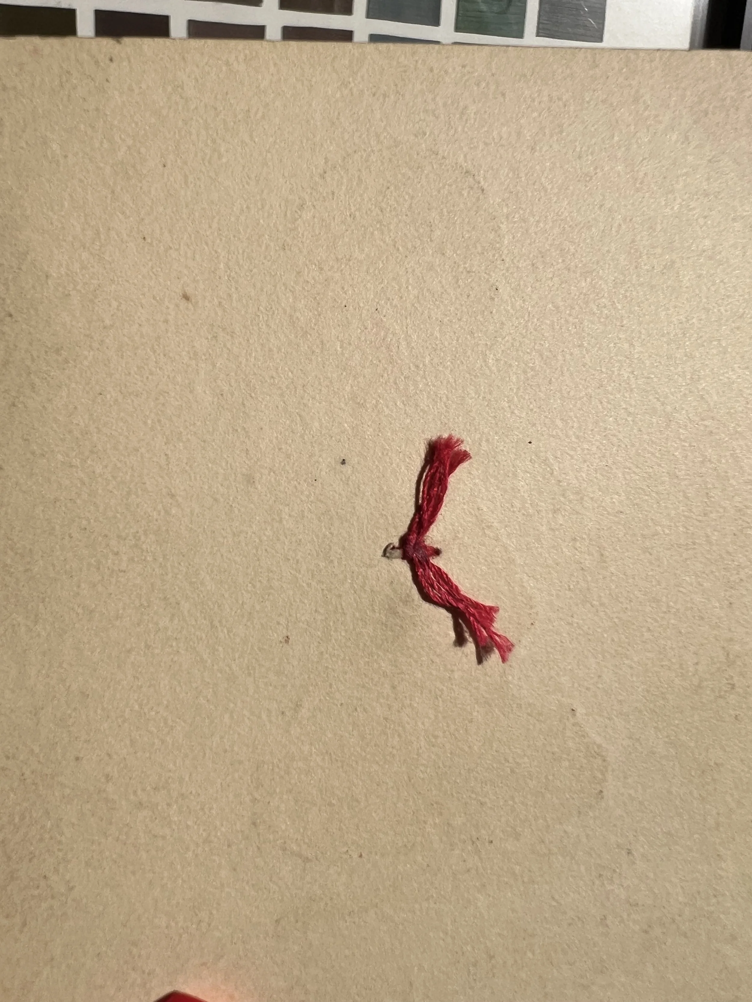 IMG_5506.jpeg
