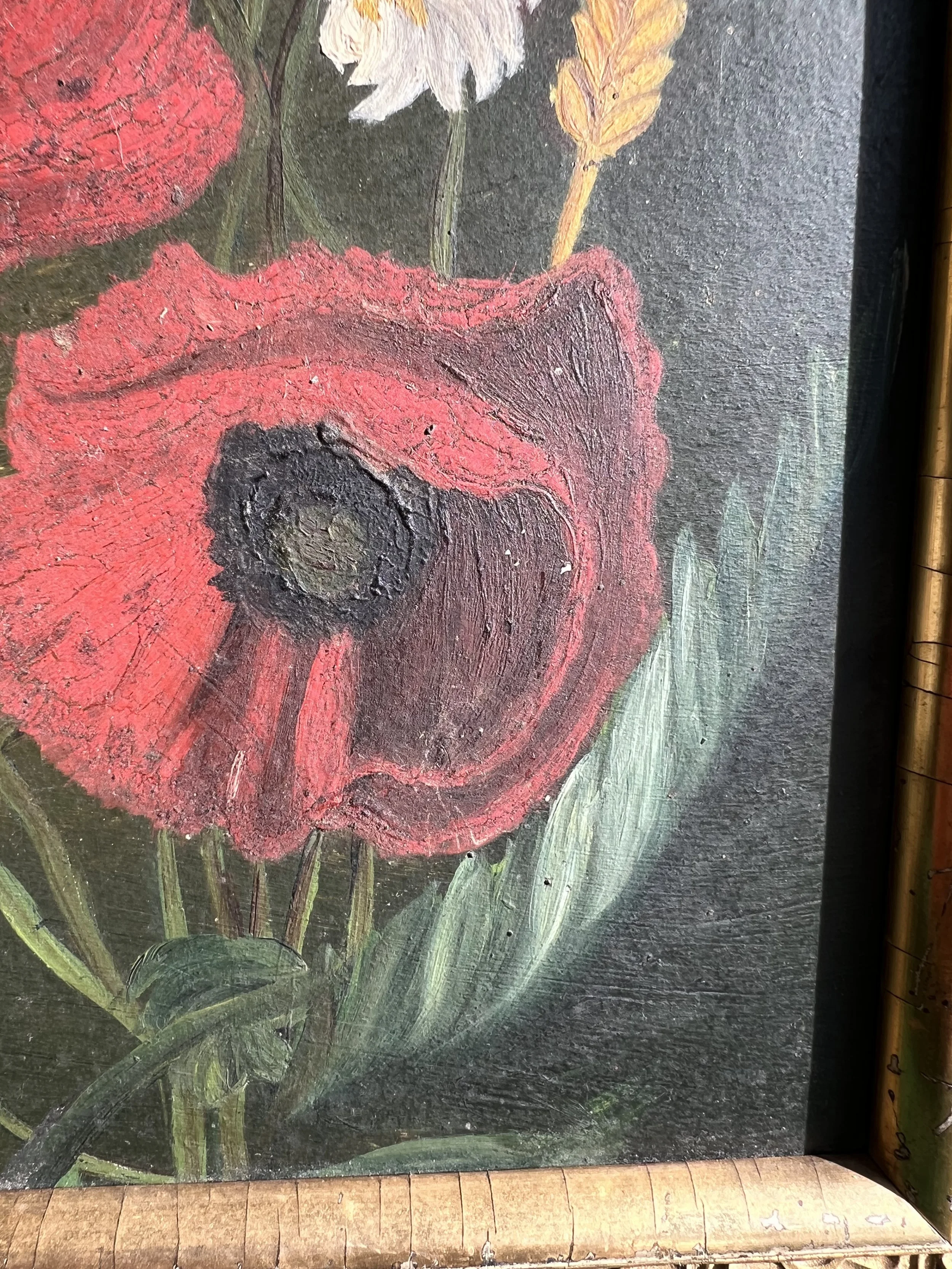IMG_5786.jpeg