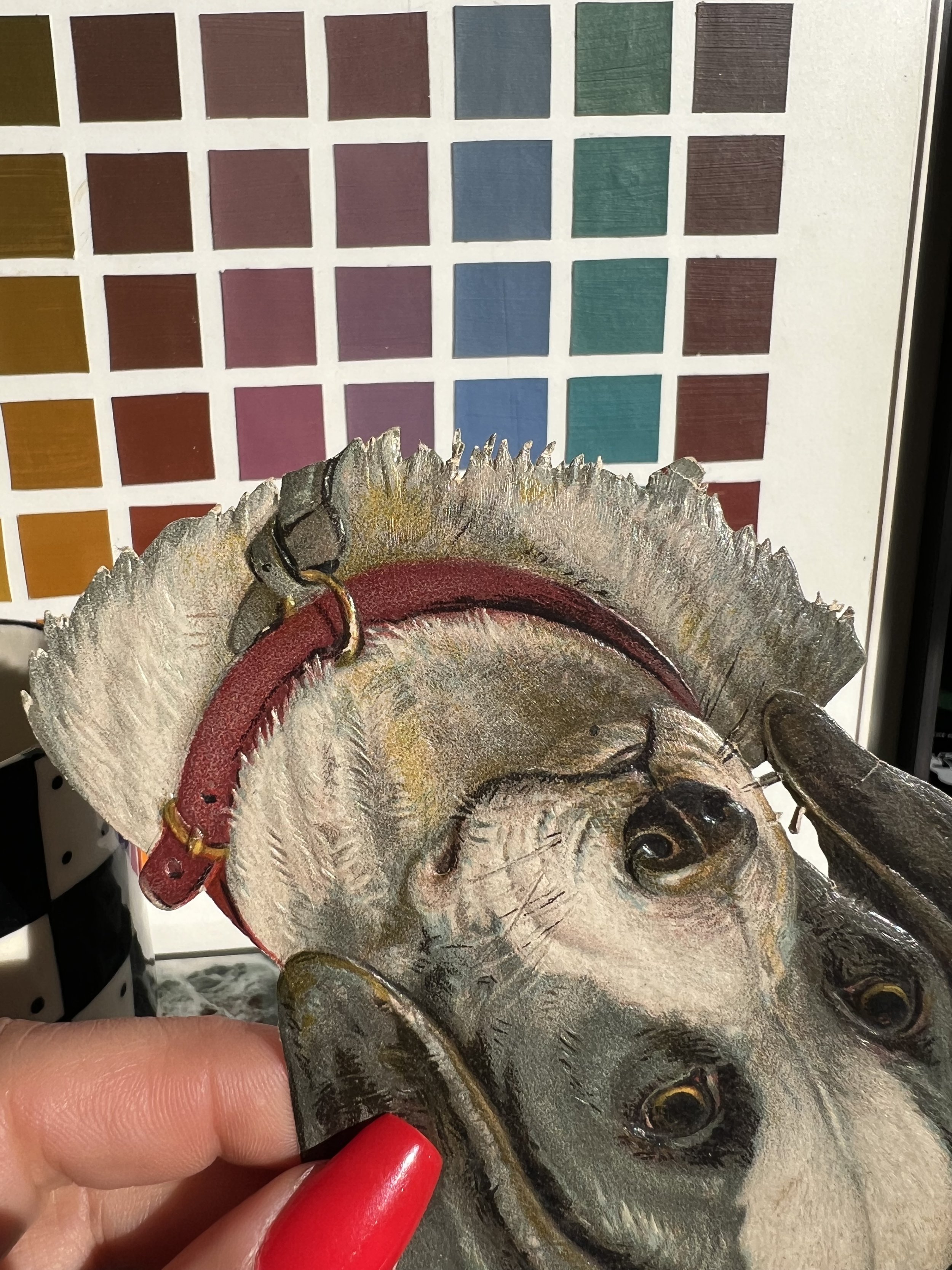 IMG_5532.jpeg