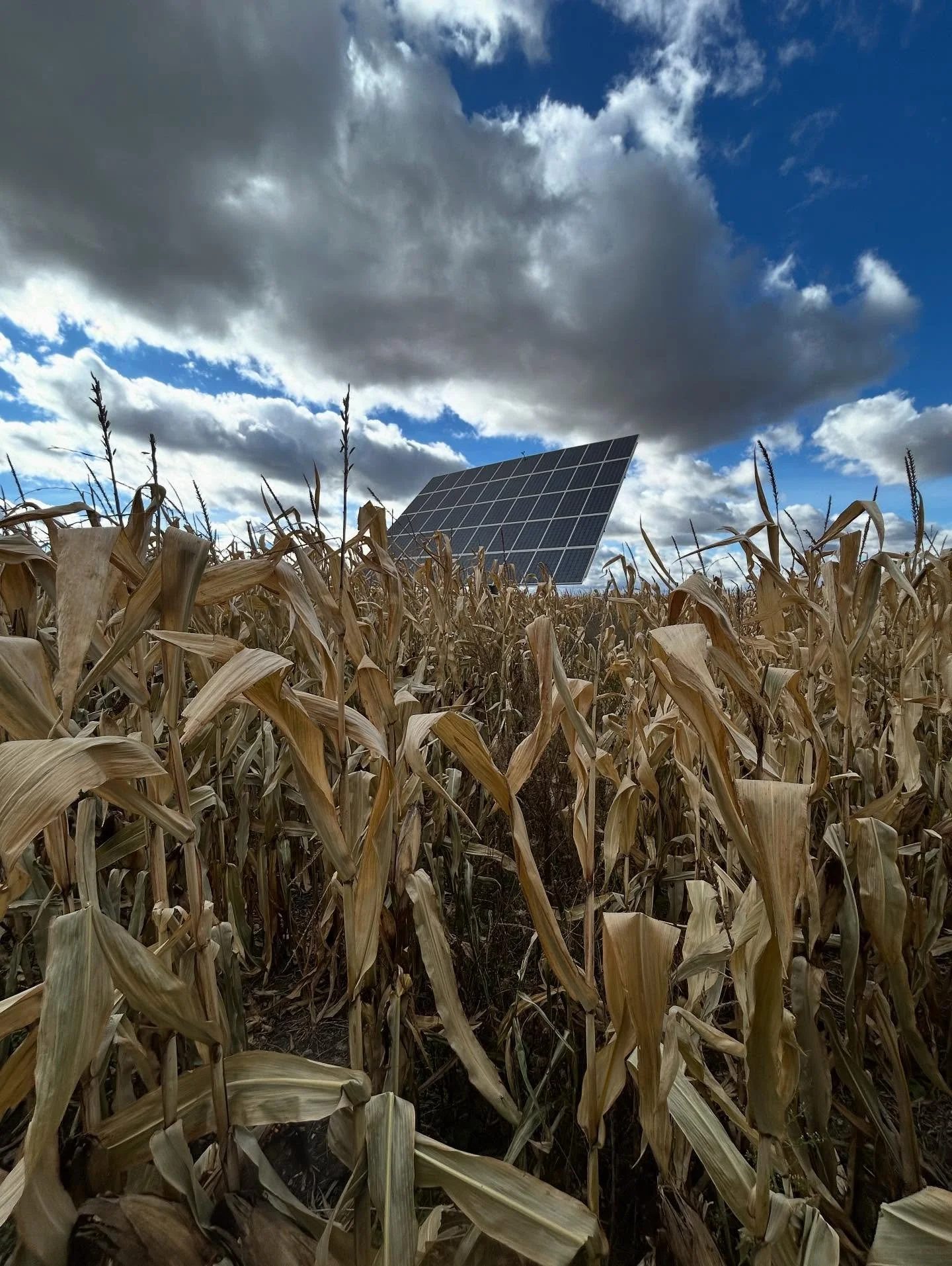 Not all solar trackers are easily accessible. It does make for a nice picture.