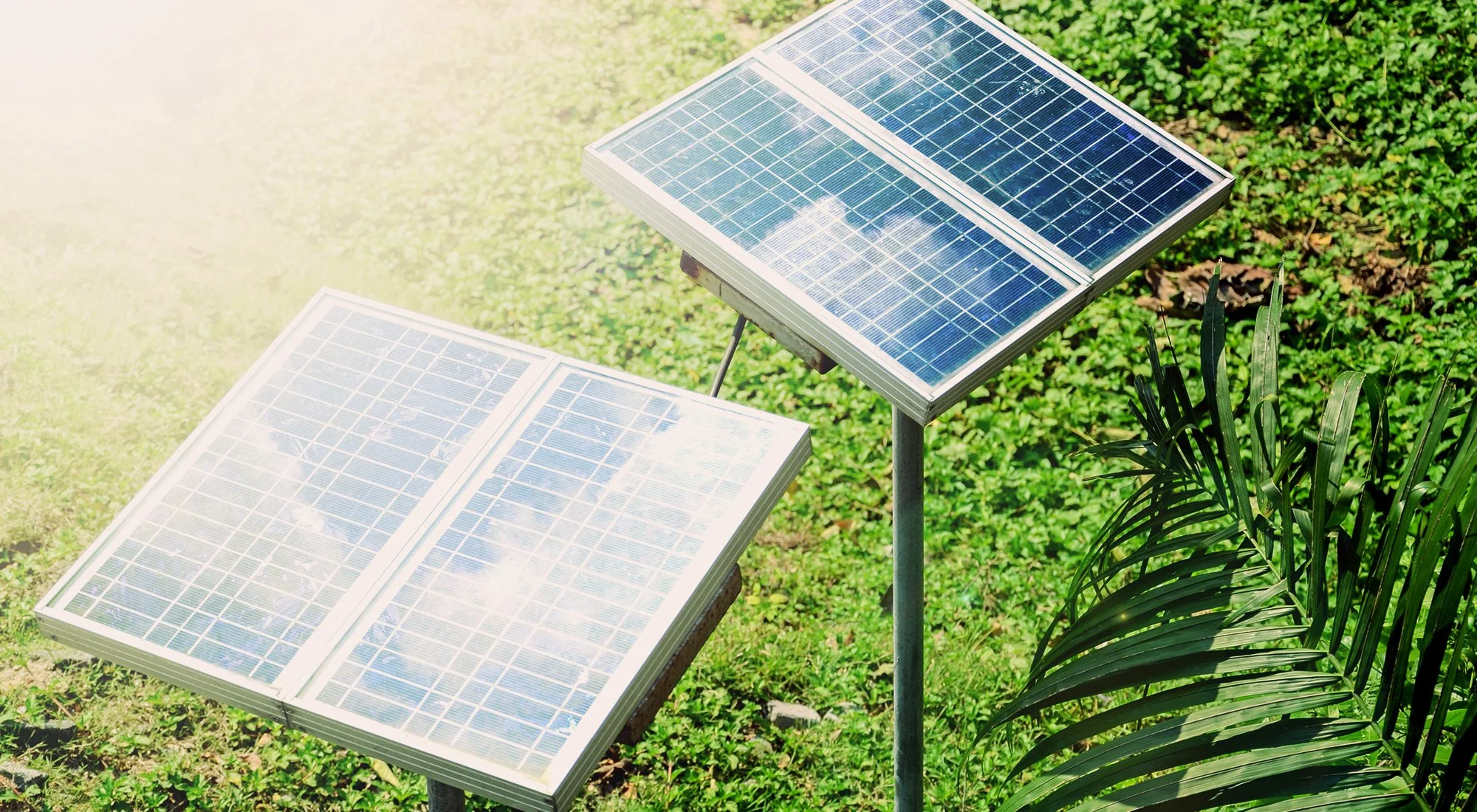 Three solar panels installed on a grassy area next to green plants.