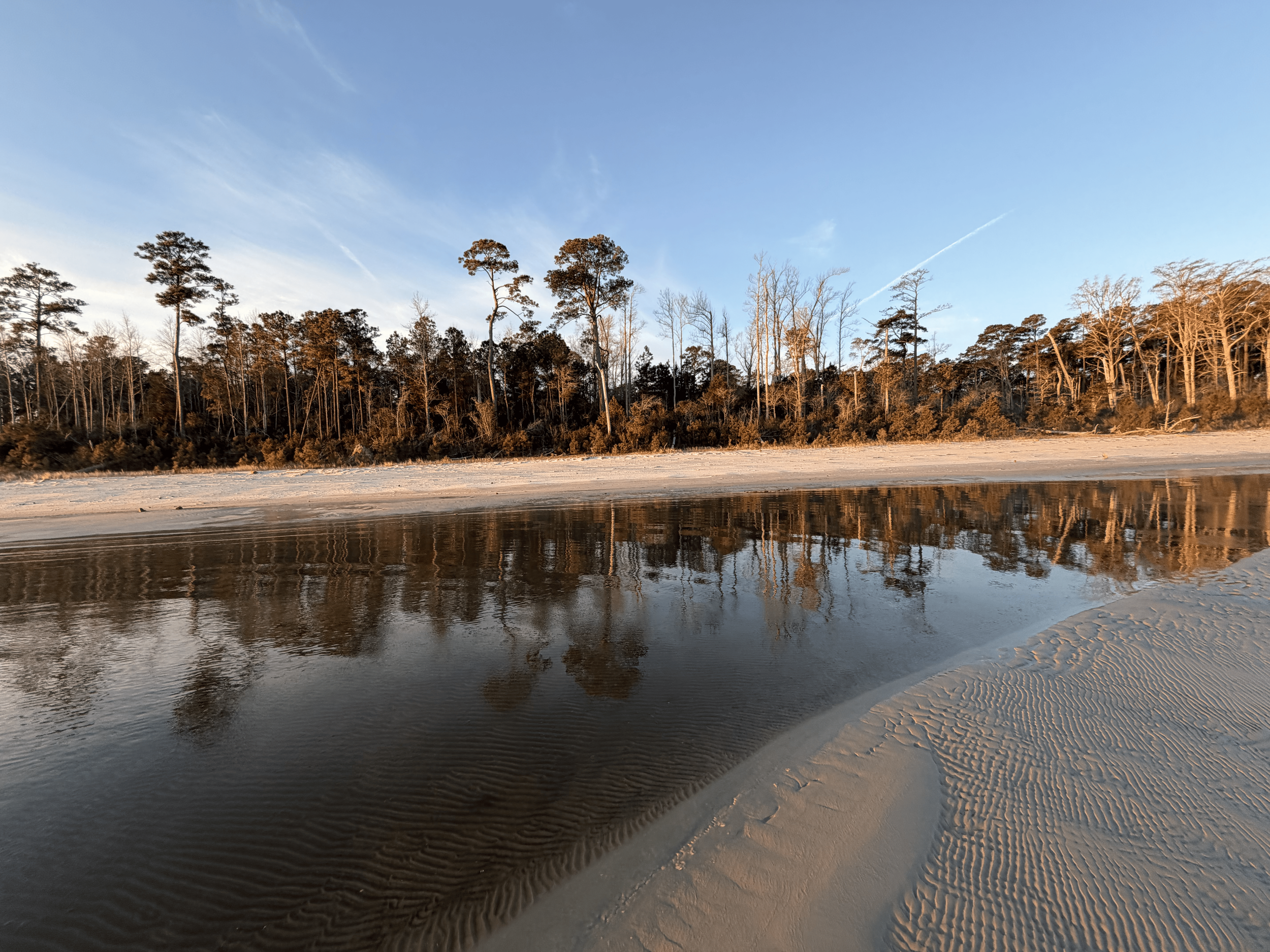 Shadyview Beach Estates