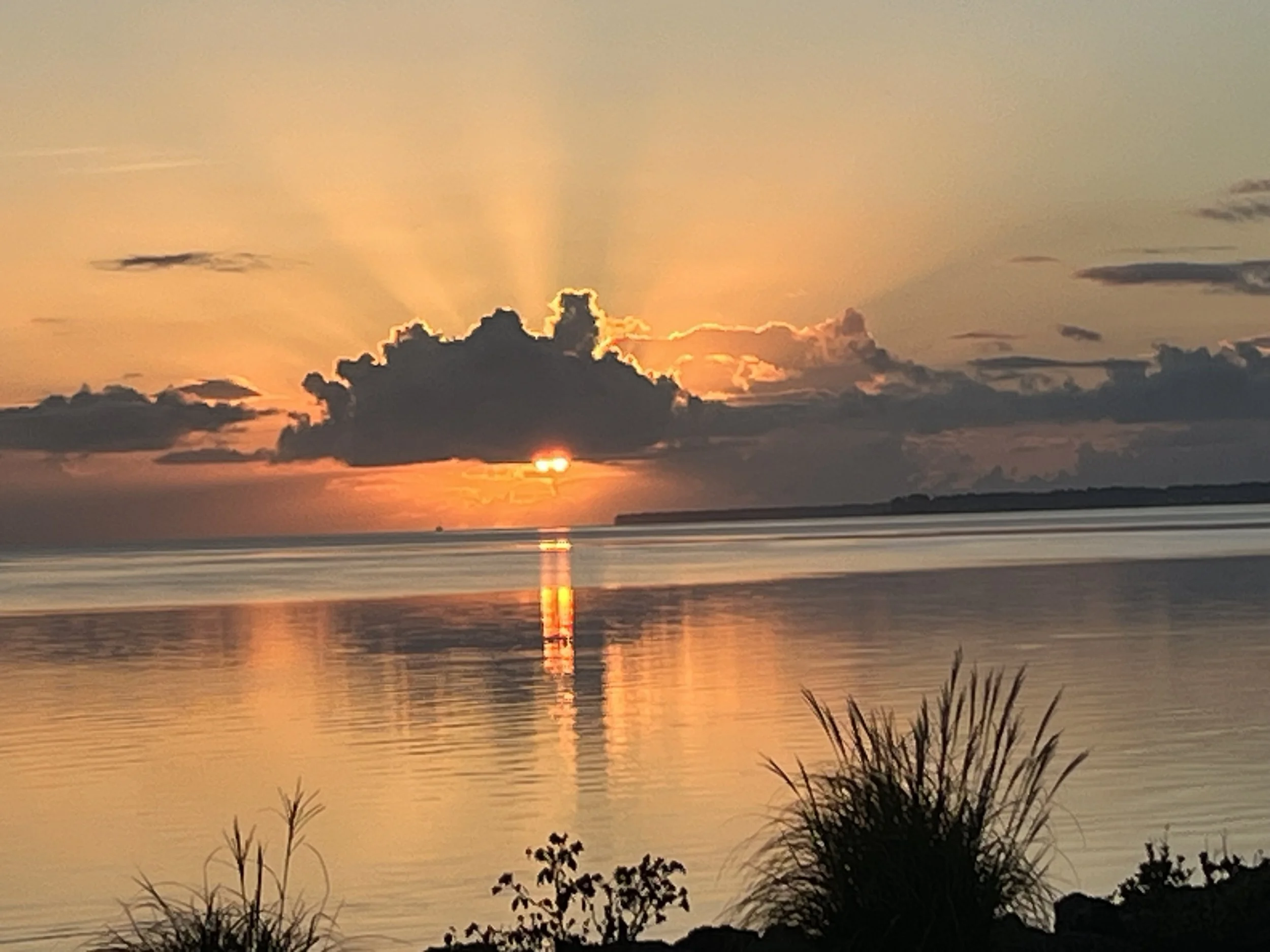 ShadyView Beach Estates