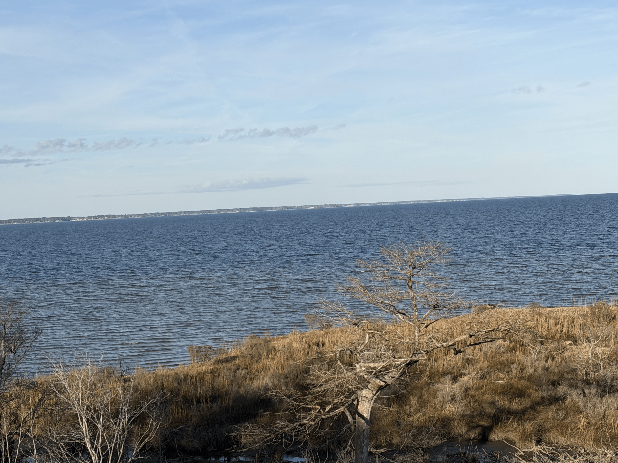 119 & 121 Cedarwood Drive