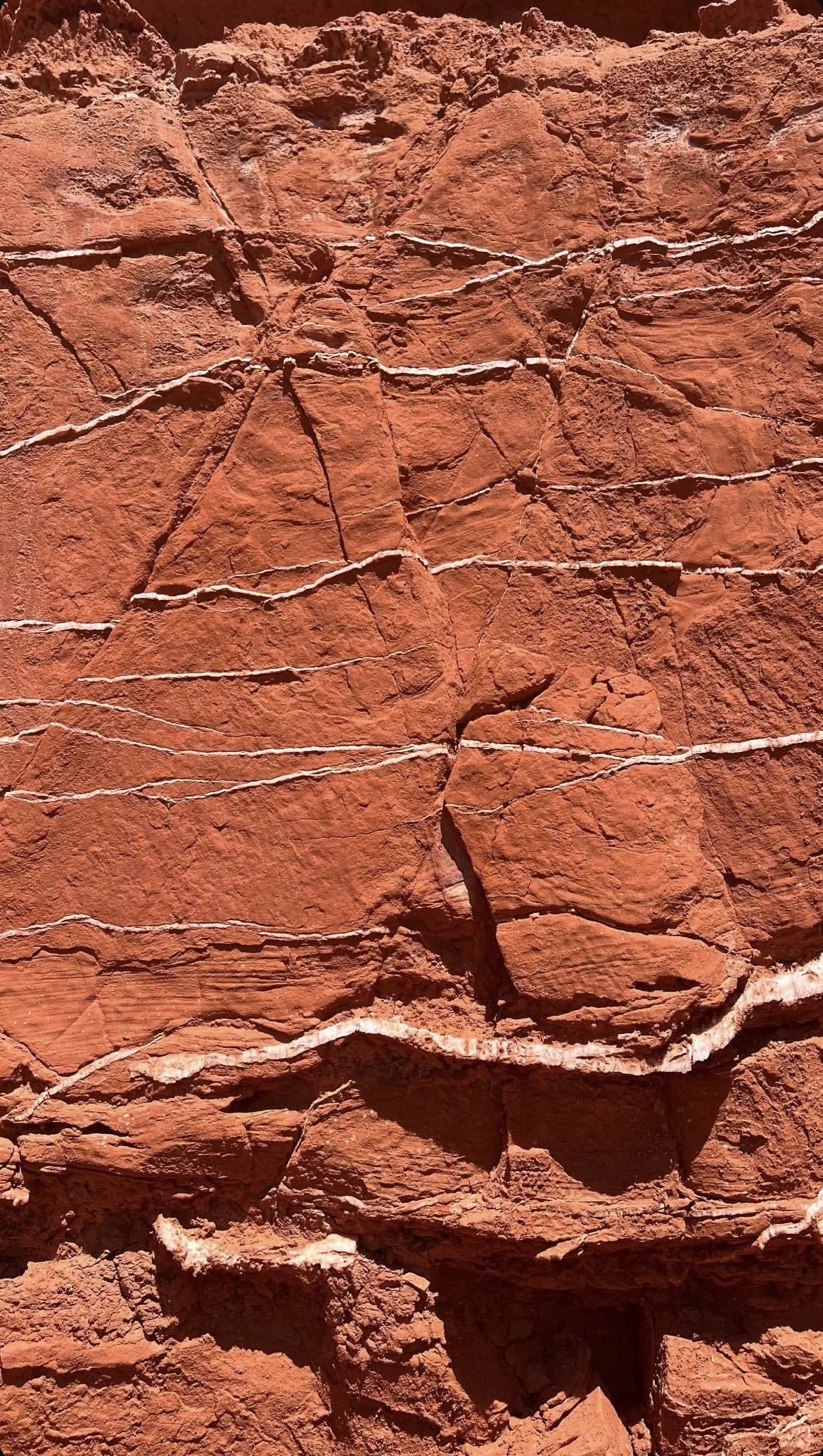 Red rock formation with white erosion lines and cracks in a desert landscape.
