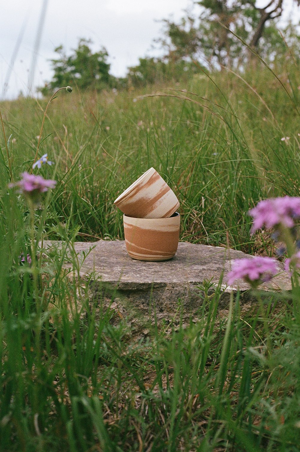 Two hillside-rock cups placed on a stone at the edge of a grassy field with purple and blue flowers, trees and a cloudy sky in the background.