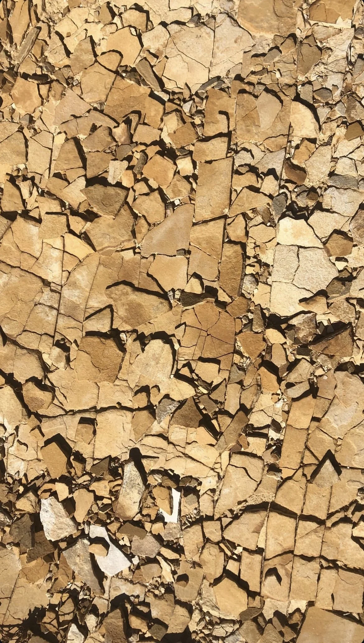 Close-up of a stack of chopped firewood with irregular shapes and natural brown color.