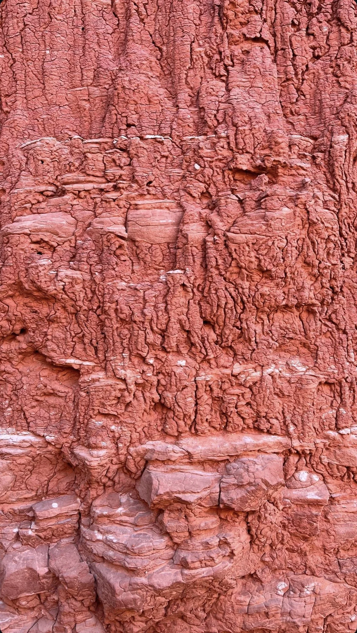 Close-up photo of rugged red rock surface with cracks and textures.