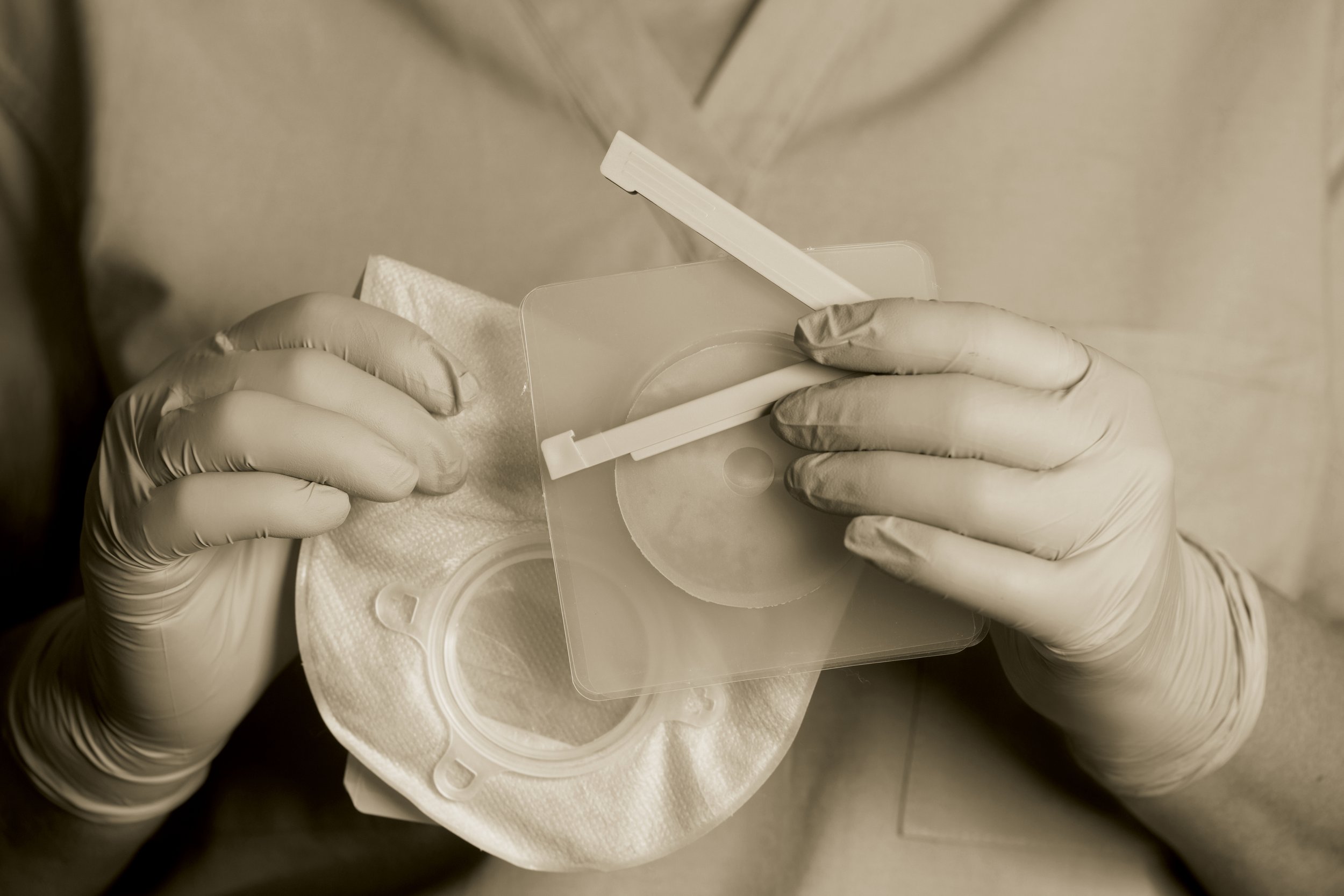 Close-up of gloved hands holding a petri dish and a sterile swab, ready for a medical or microbiological test.