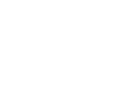 Logo of BlueHeron Asset Management, LLC with a stylized blue heron bird above the company name