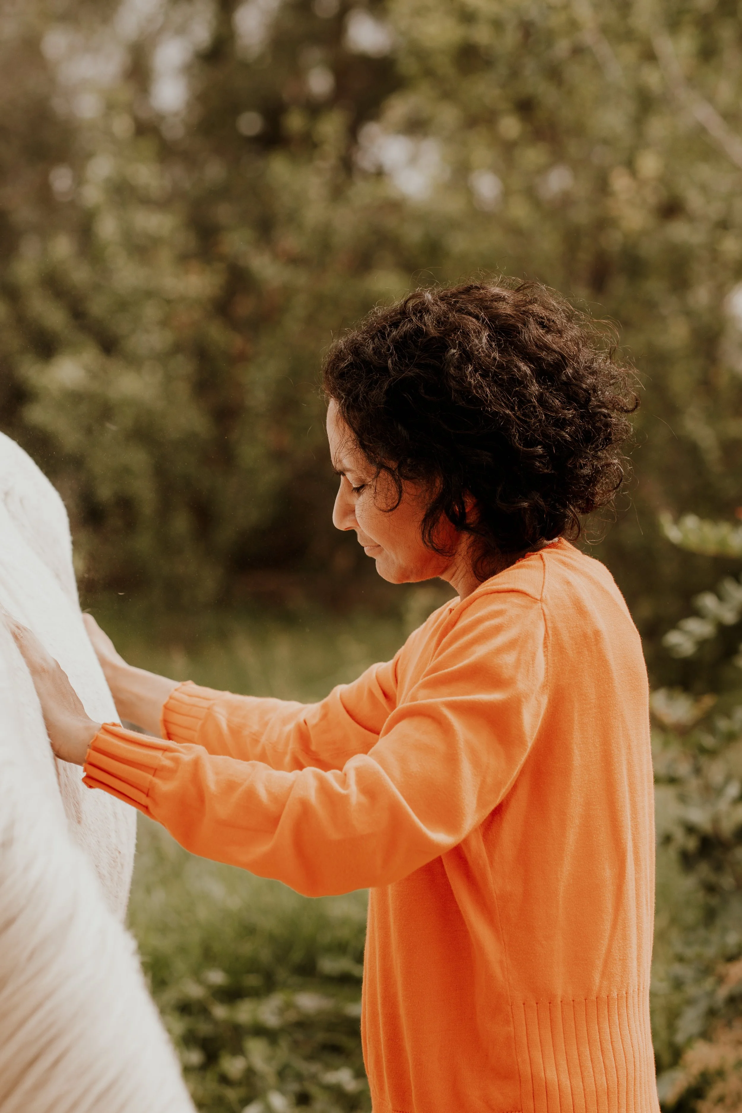 Horse Healing Experience