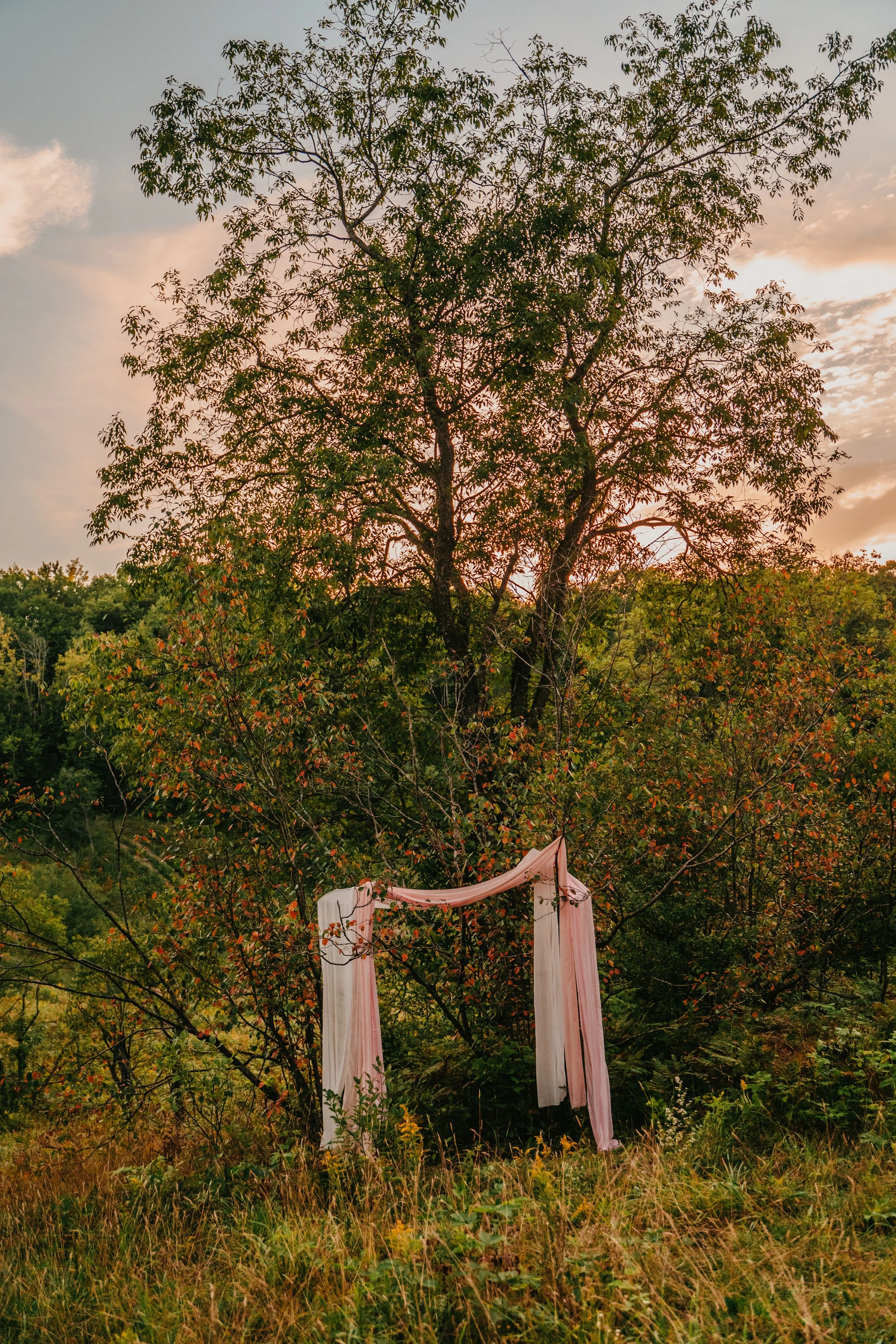 Monday Morning Meditation (Online)